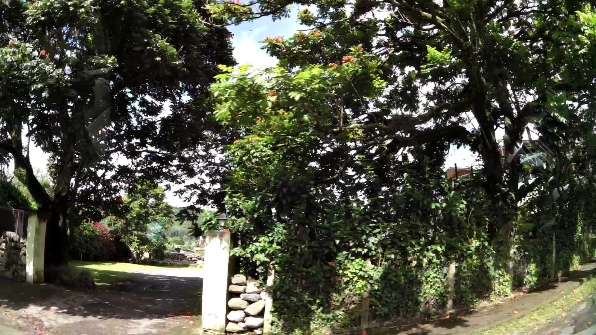 Street view near El Oasis Hotel & Restaurant, Bajo Boquete — © kaartcam (CC BY-SA · Mapillary)