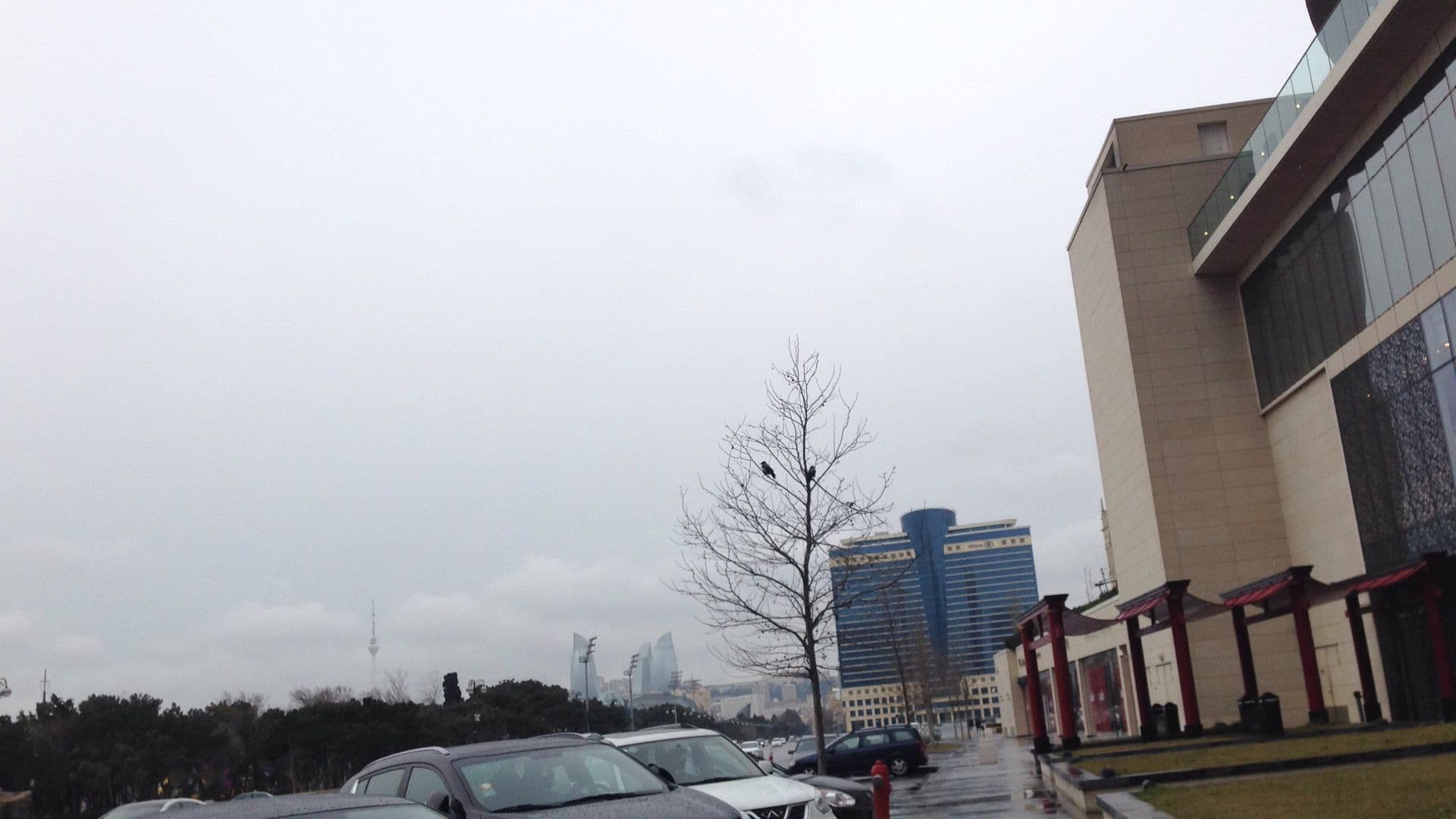 Street view near Sea Port Hotel, Baku — © geomapper69 (CC BY-SA · Mapillary)