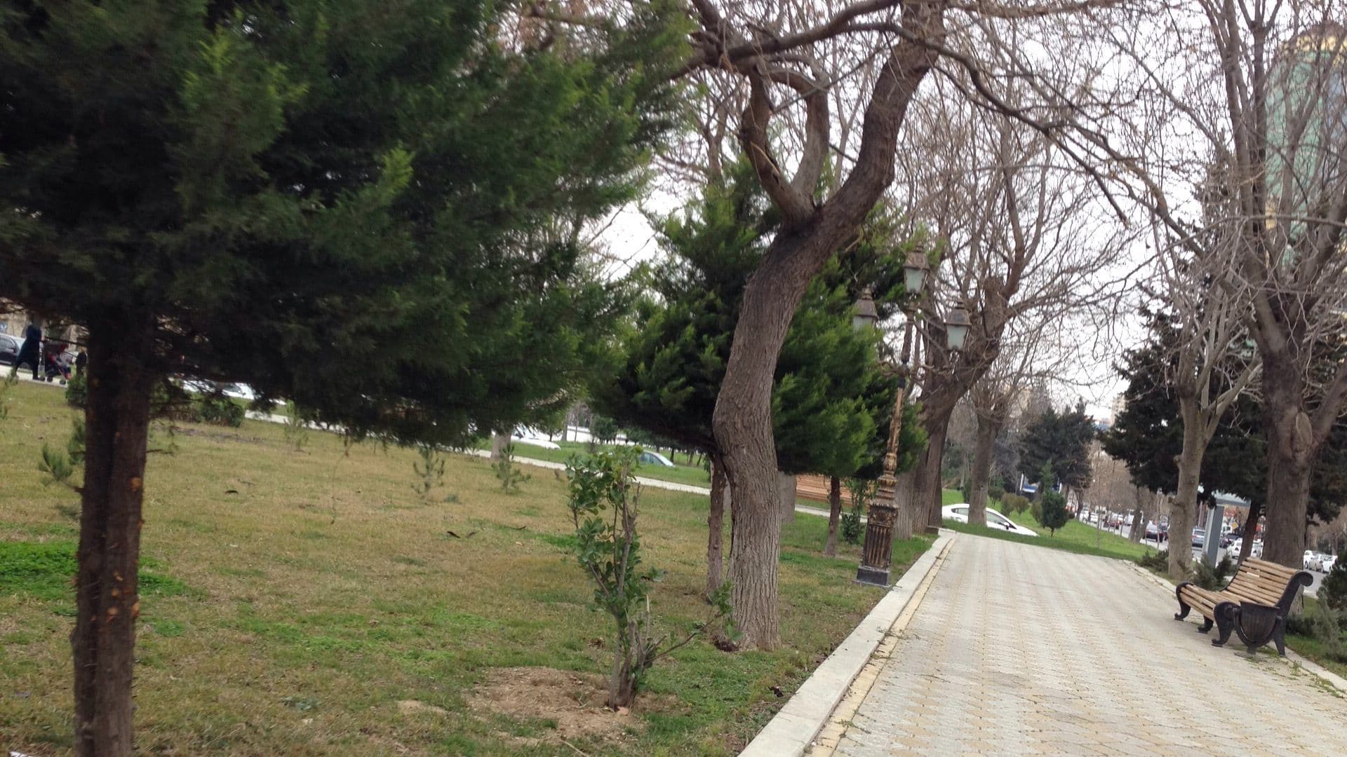 Street view near Irshad hotel, Baku — © geomapper69 (CC BY-SA · Mapillary)