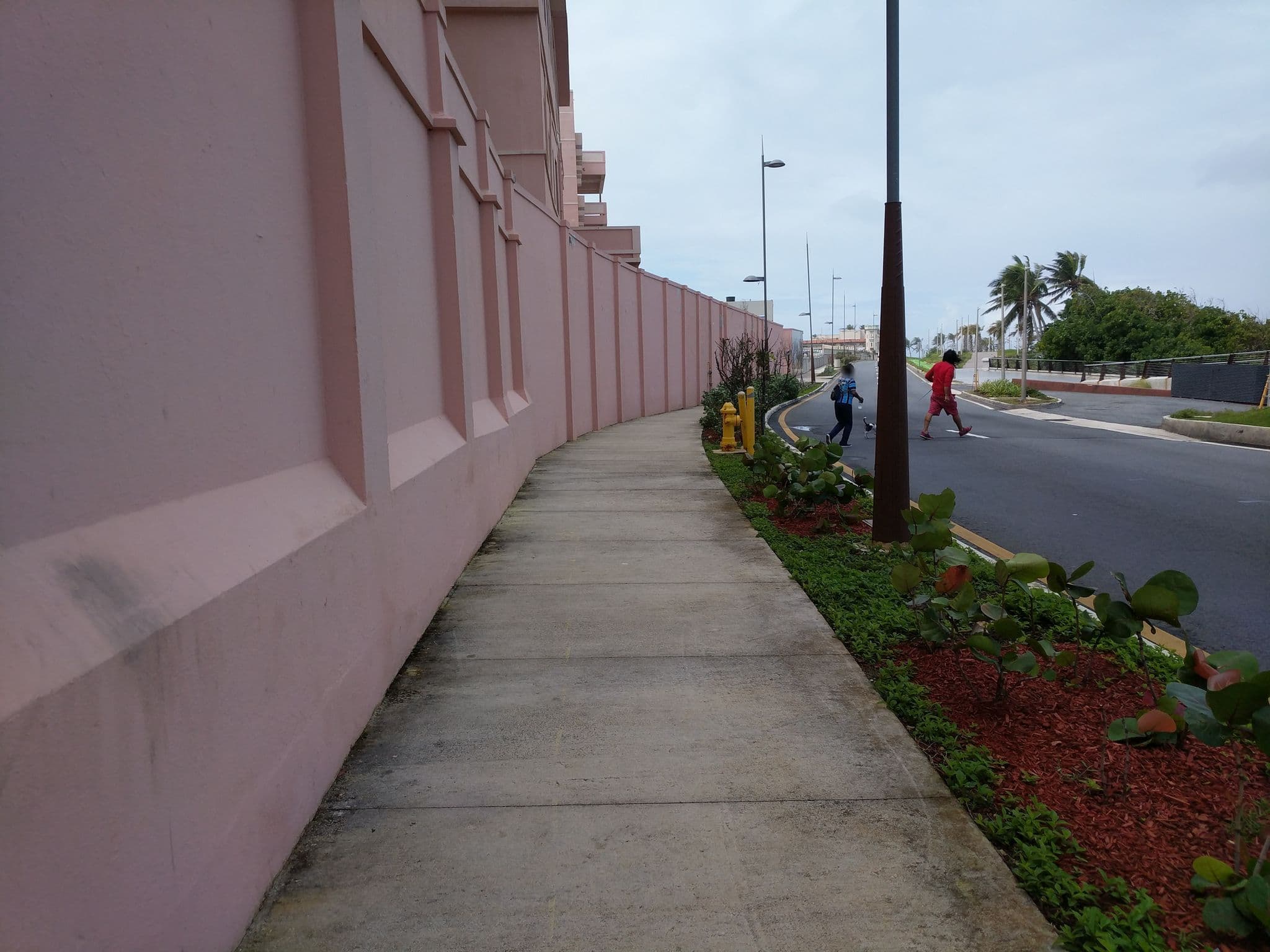 Street view near W San Juan, San Juan — © daalso (CC BY-SA · Mapillary)