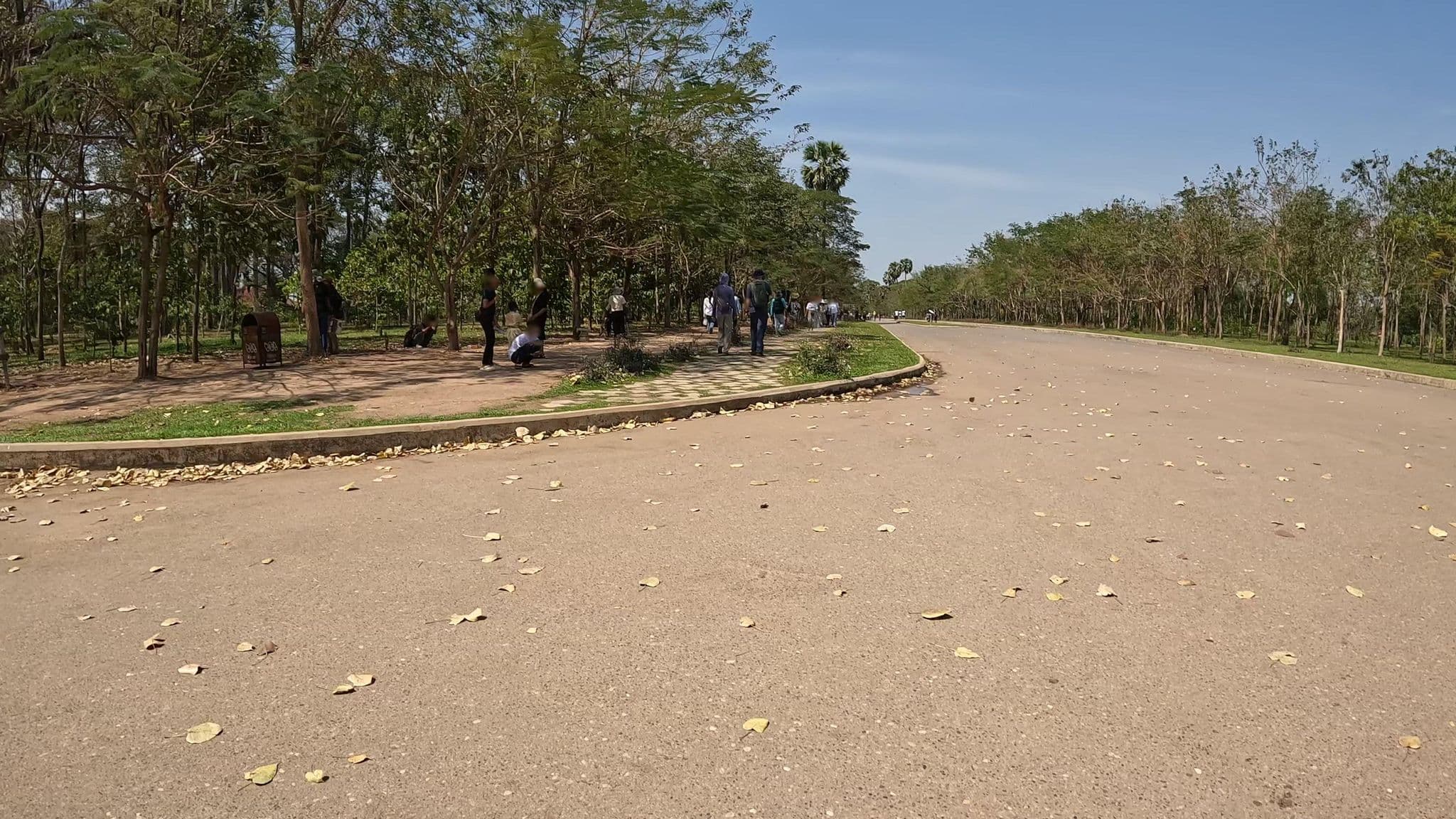 Street view near Ta Phrom Hotel, Siem Reap — © skillsy (CC BY-SA · Mapillary)