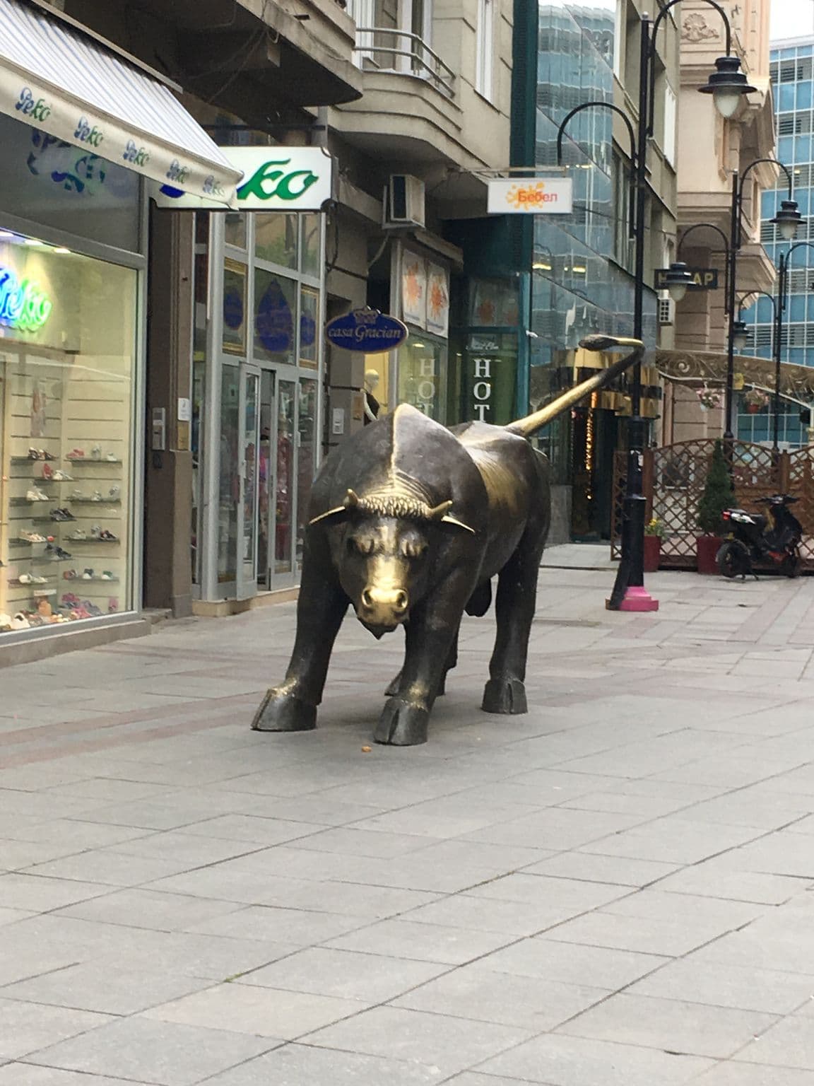 Street view near ELSA Hotel, Skopje — © rrustem_haradinaj (CC BY-SA · Mapillary)