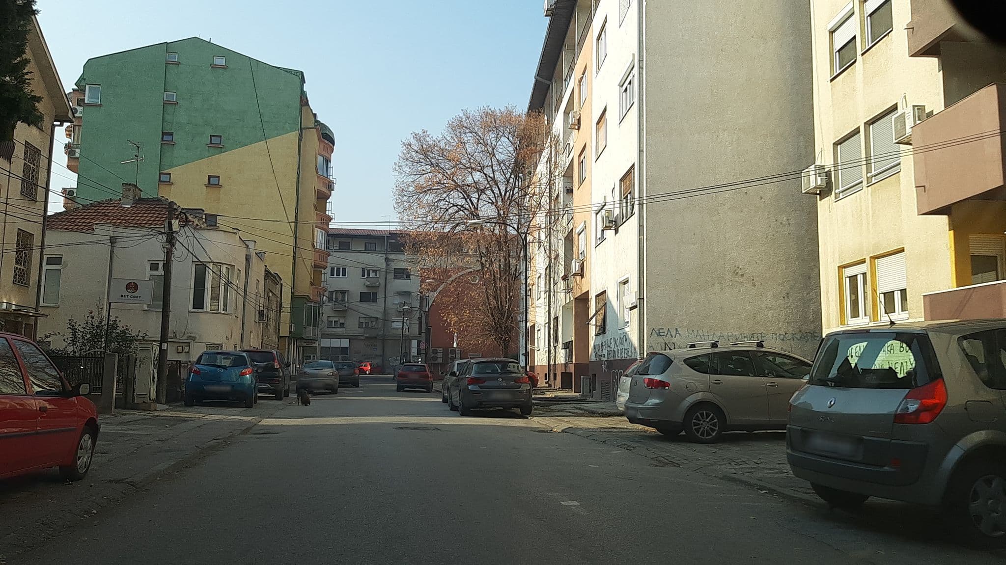 Street view near Vo Krevet, Skopje — © hristijang (CC BY-SA · Mapillary)