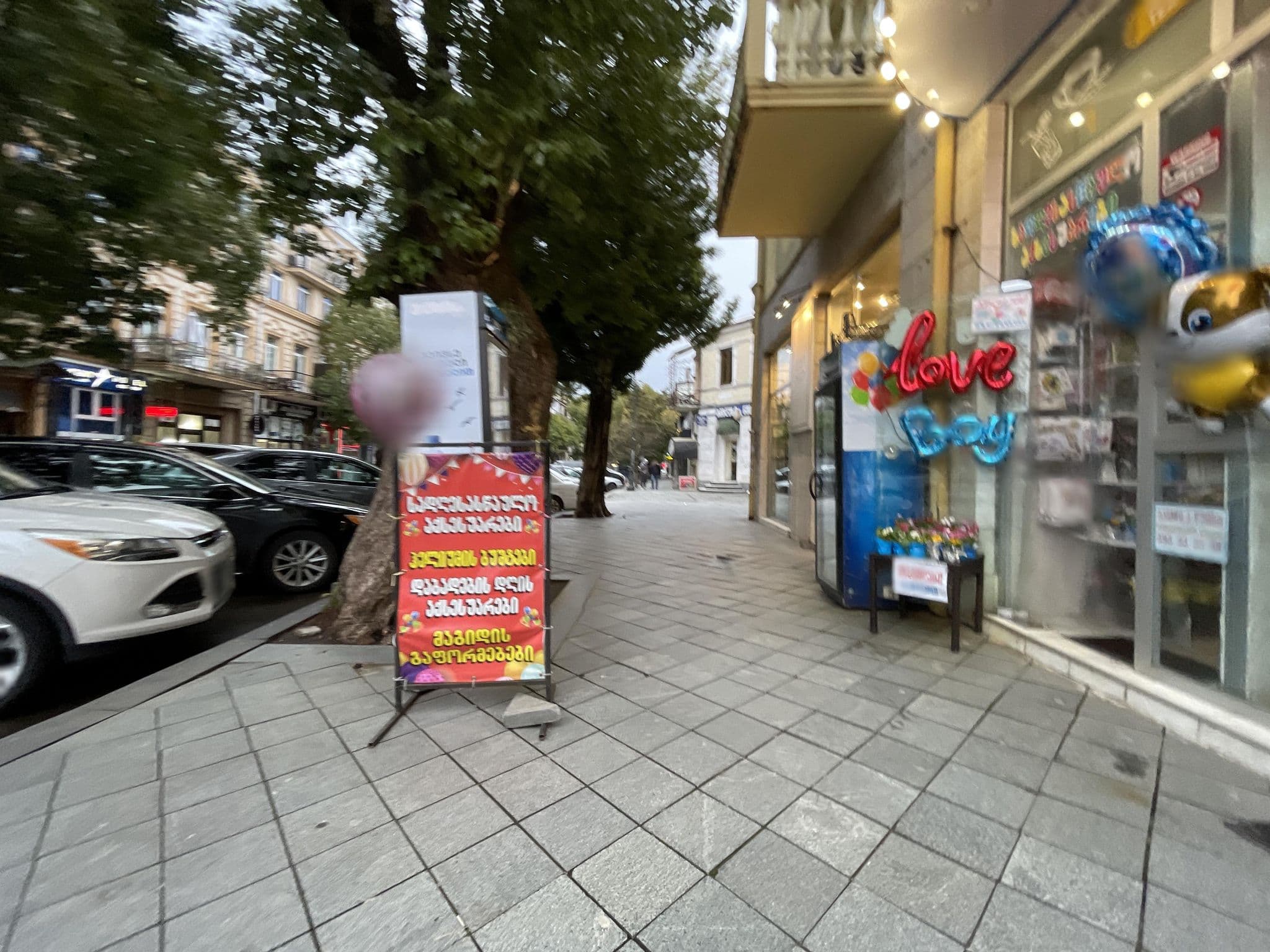 Street view near Tokaplus, Batumi — © egorka (CC BY-SA · Mapillary)