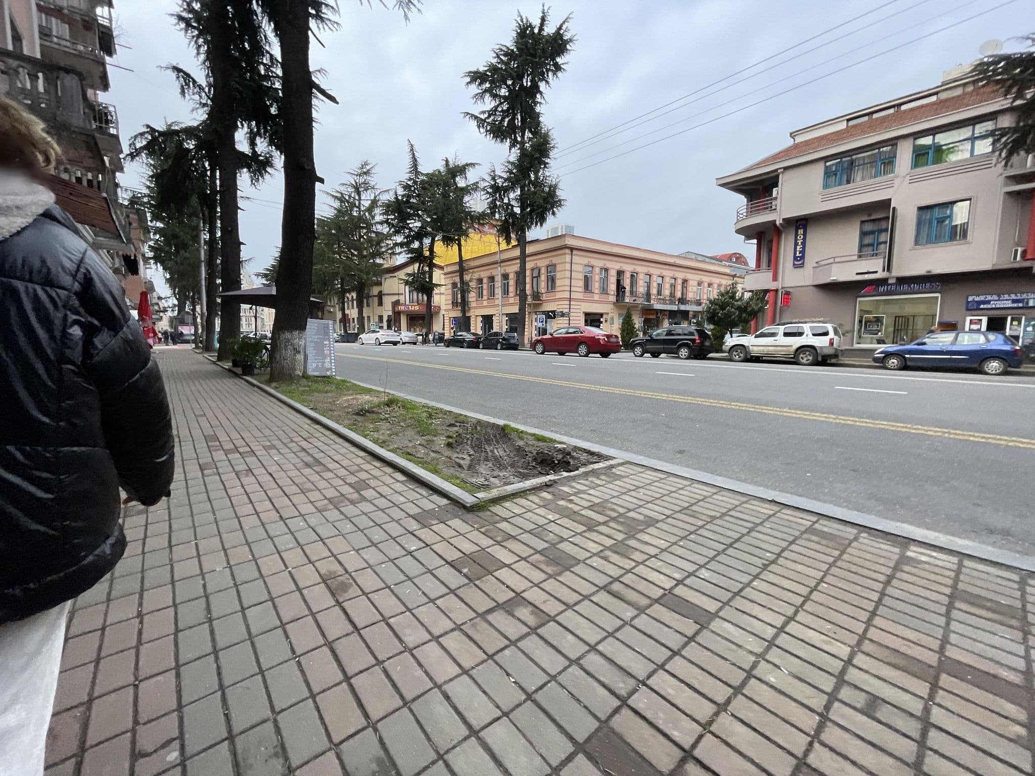 Street view near Metropol, Batumi — © egorka (CC BY-SA · Mapillary)