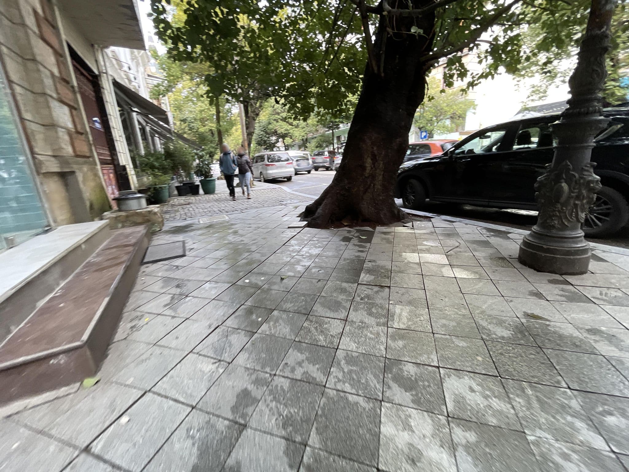 Street view near Batumi Surf Hostel, Batumi — © egorka (CC BY-SA · Mapillary)
