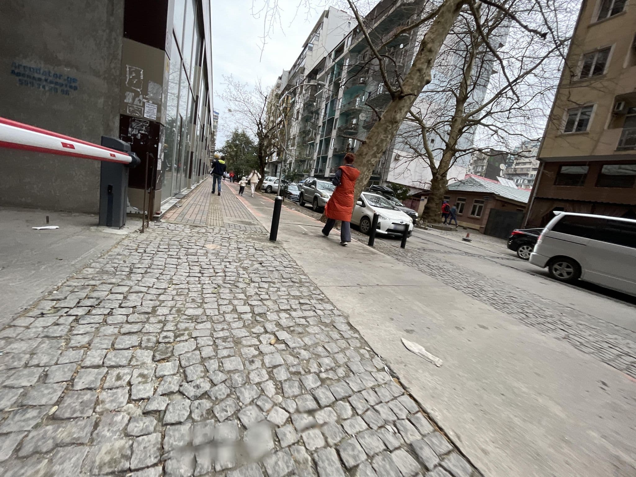 Street view near Hotel Lim, Batumi — © egorka (CC BY-SA · Mapillary)