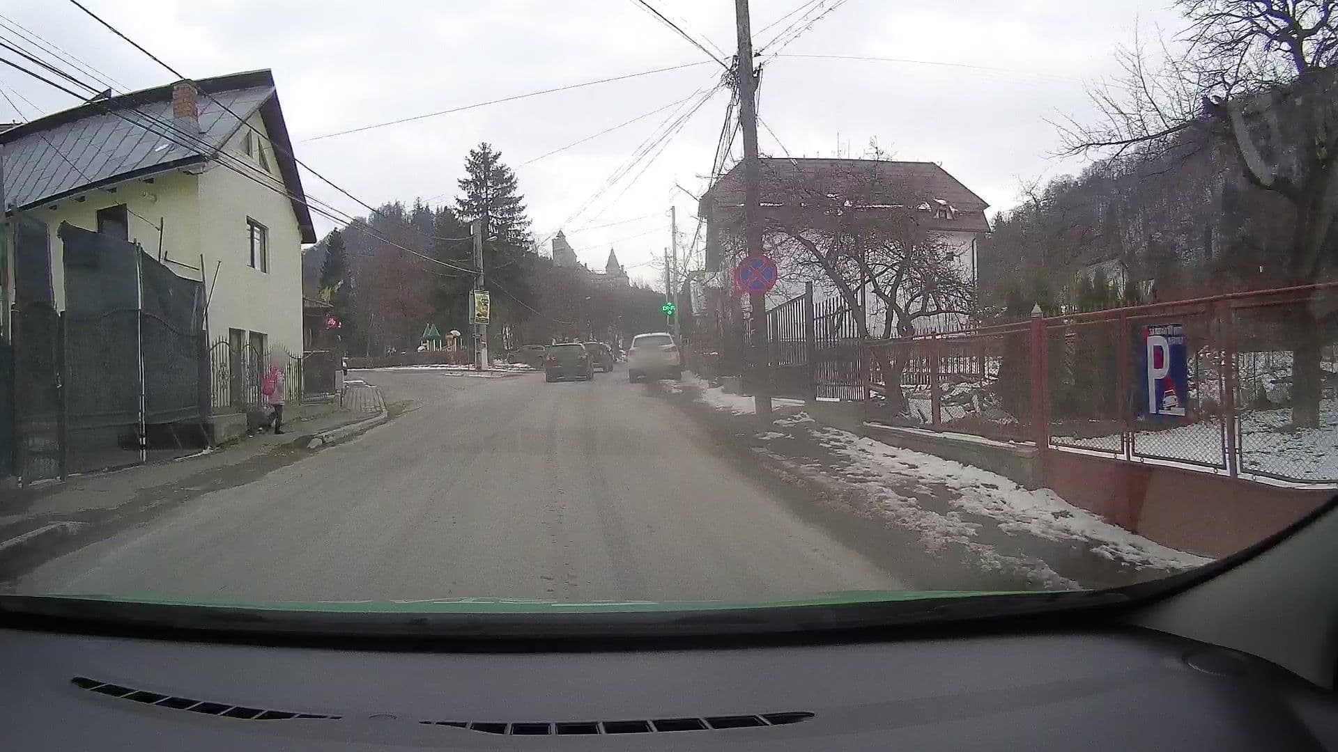 Street view near Vila Zara, Bran — © tavi (CC BY-SA · Mapillary)