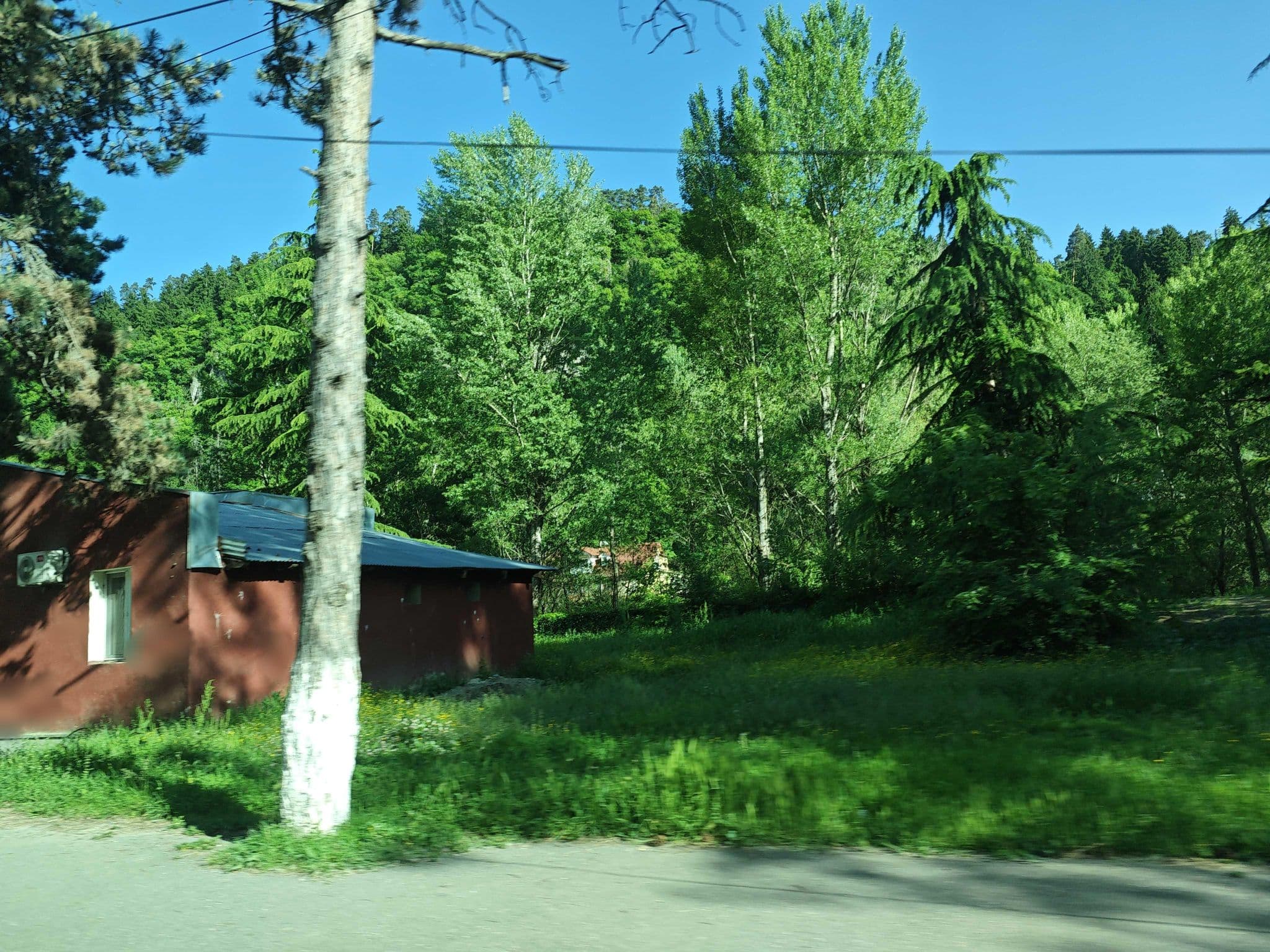 Street view near Riverside Hostel Borjomi, Borjomi — © emptychild (CC BY-SA · Mapillary)