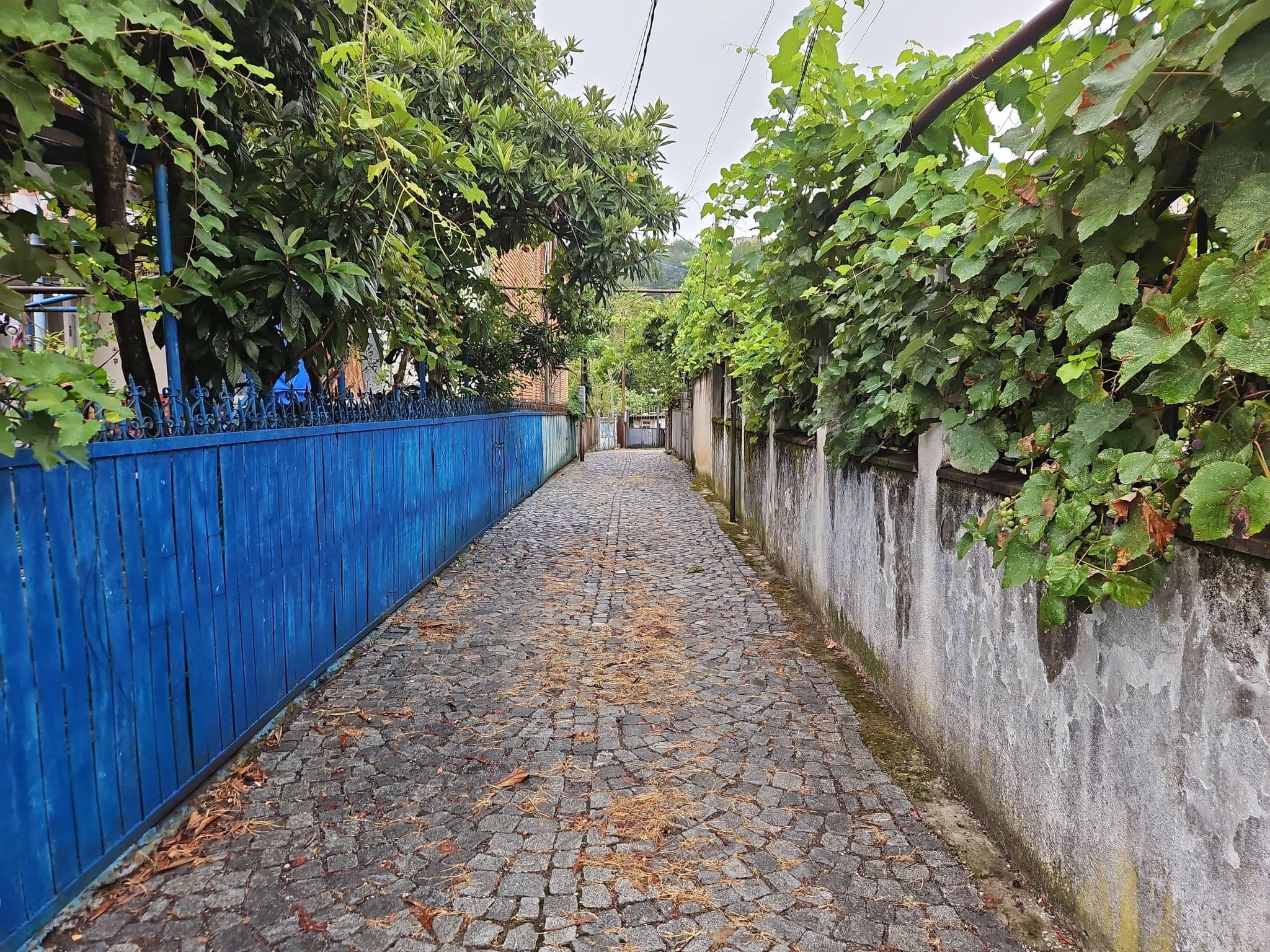 Street view near Guesthouse Litoros, Kutaisi — © bdgwl (CC BY-SA · Mapillary)