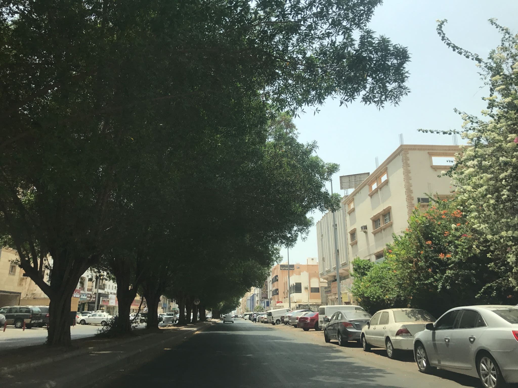 Street view near Almanee Furnished Suits, Jeddah — © hisham95 (CC BY-SA · Mapillary)