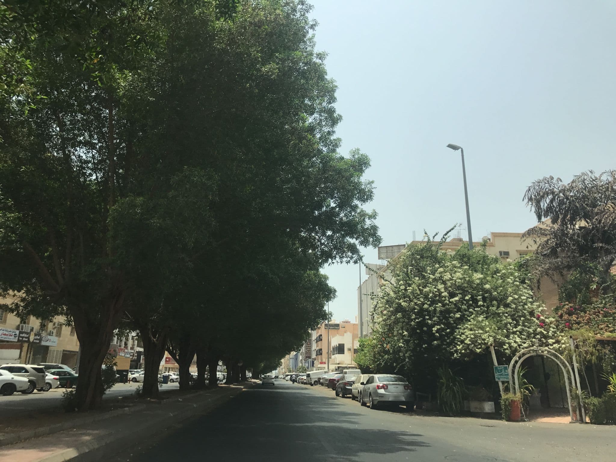 Street view near Areej Plaza 2, Jeddah — © hisham95 (CC BY-SA · Mapillary)