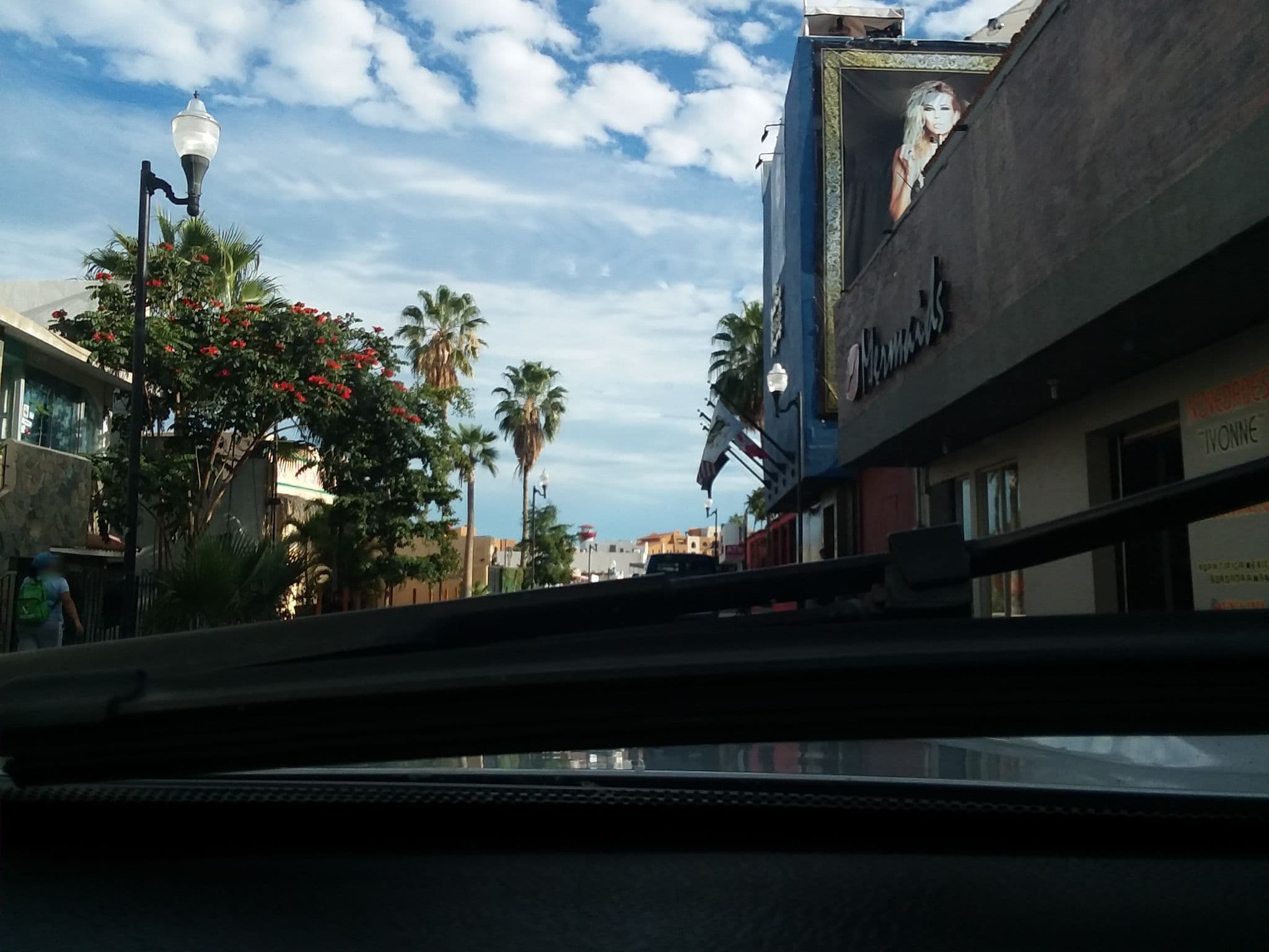 Street view near Hotel Quinta del Sol, Cabo San Lucas — © aqua05 (CC BY-SA · Mapillary)