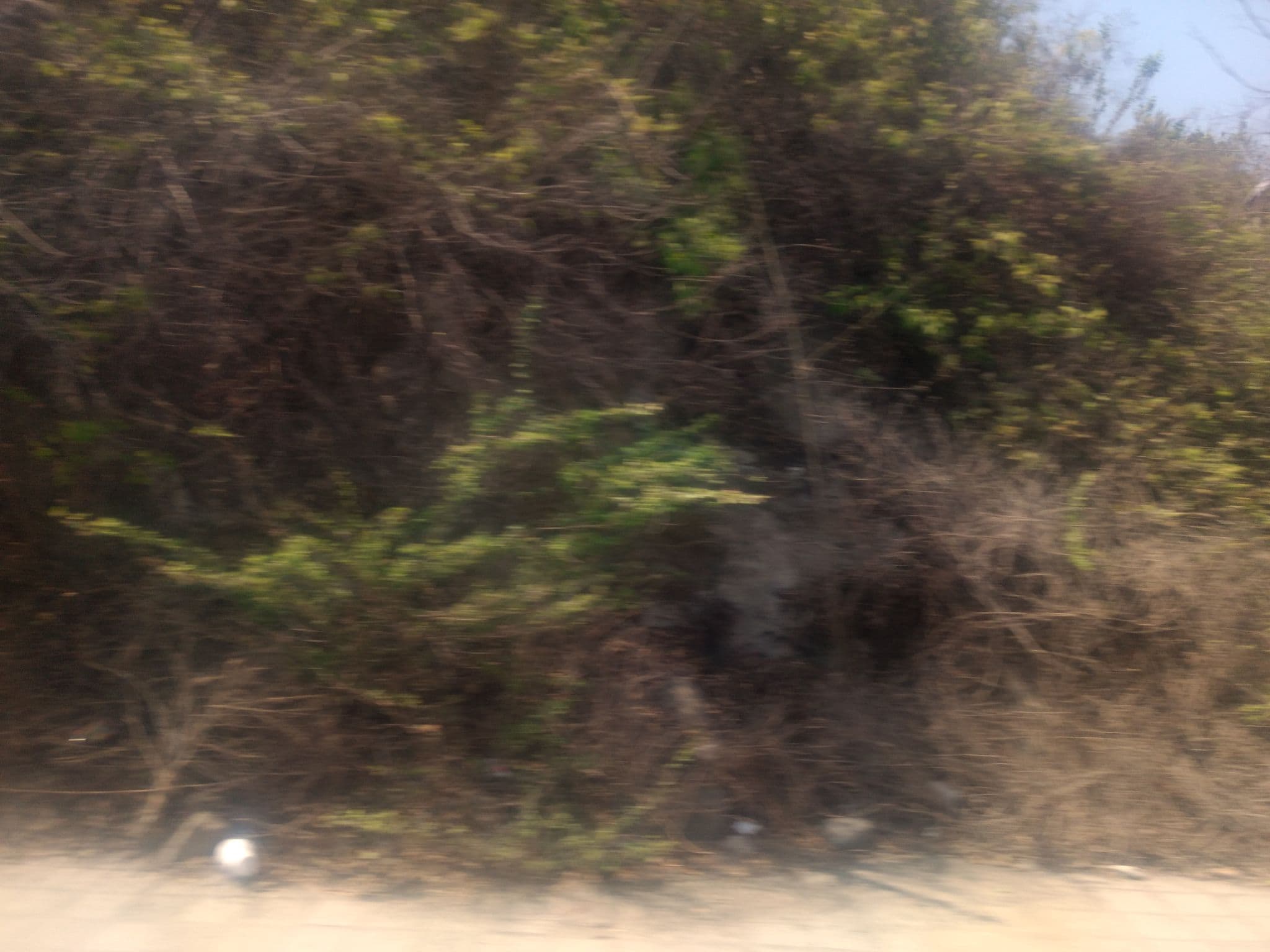 Street view near Tesoro Manzanillo, Manzanillo — © mapeadora (CC BY-SA · Mapillary)