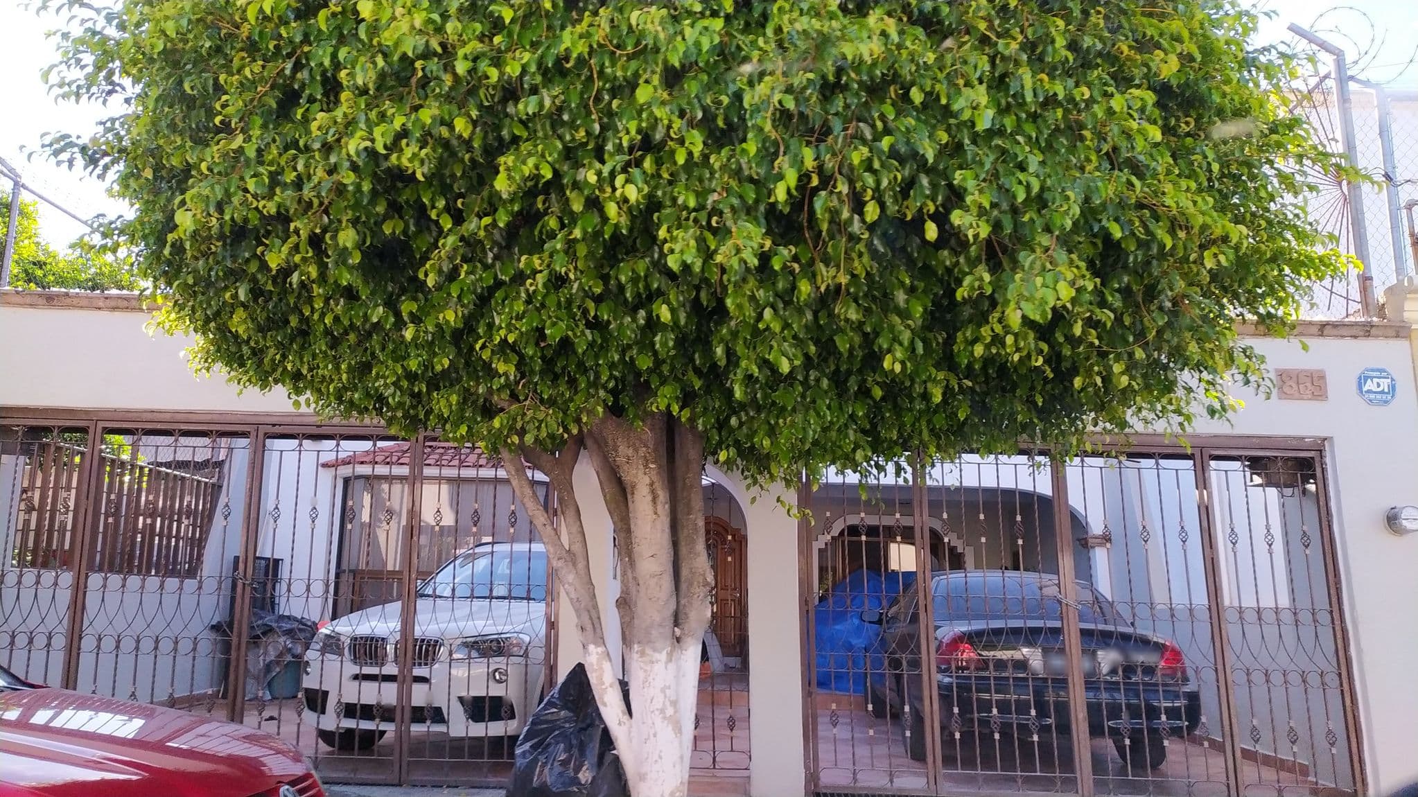 Street view near Transporte de Carga Federal, Zapopan2 — © xe1gyp (CC BY-SA · Mapillary)