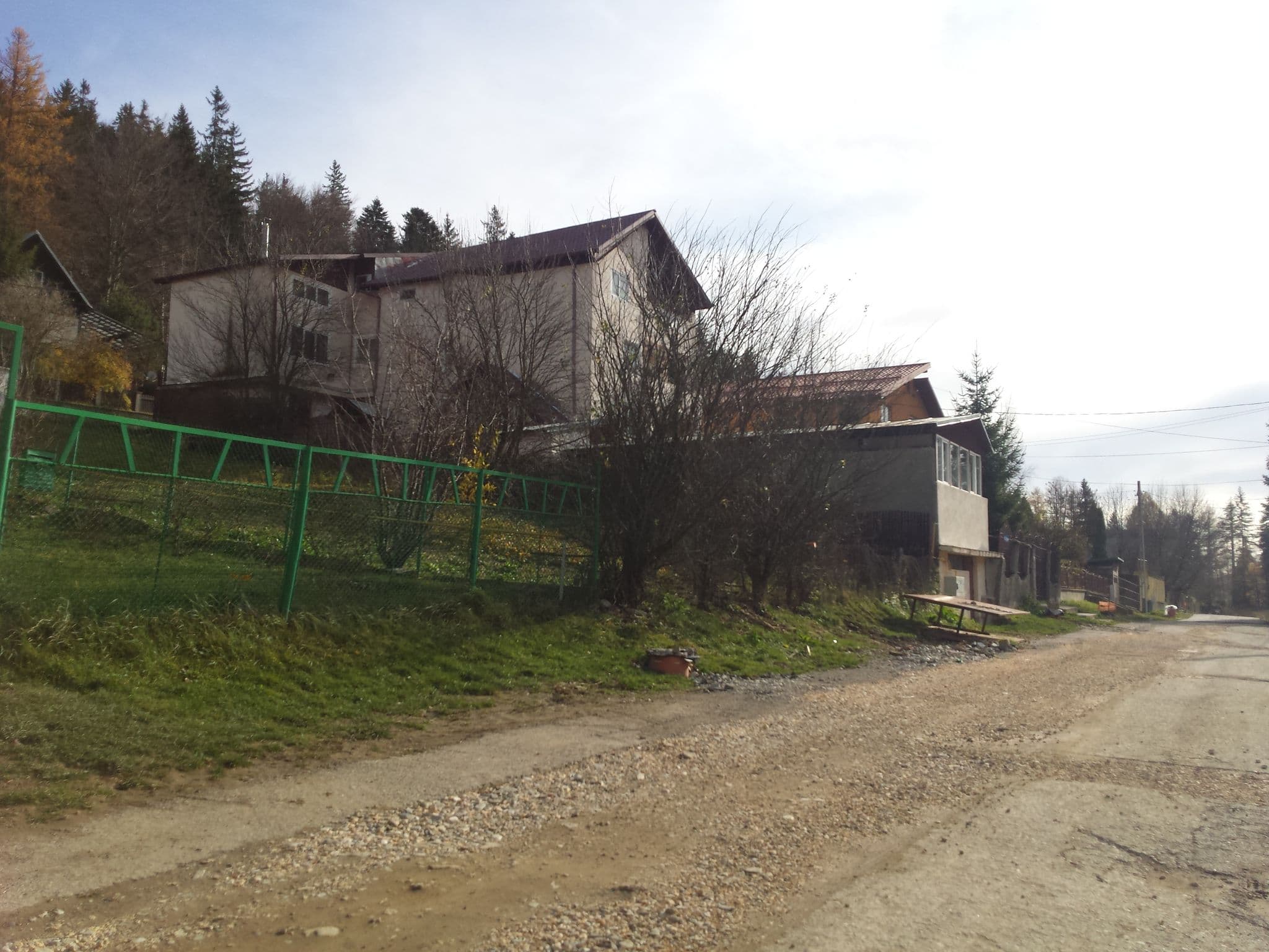 Street view near Pensiunea Bioterra Bușteni, Buşteni