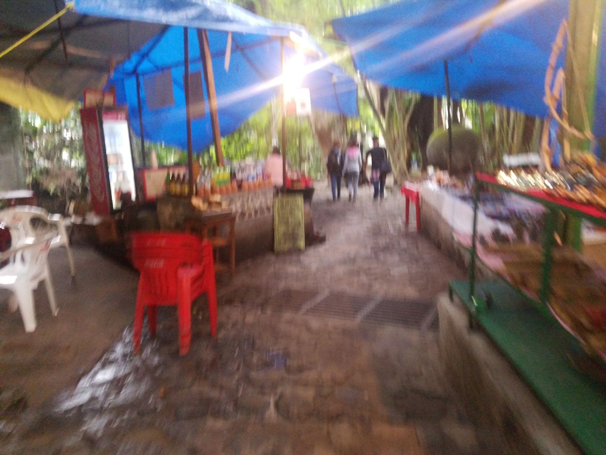 Street view near Bungalos Andrea, Tepoztlán — © roda (CC BY-SA · Mapillary)