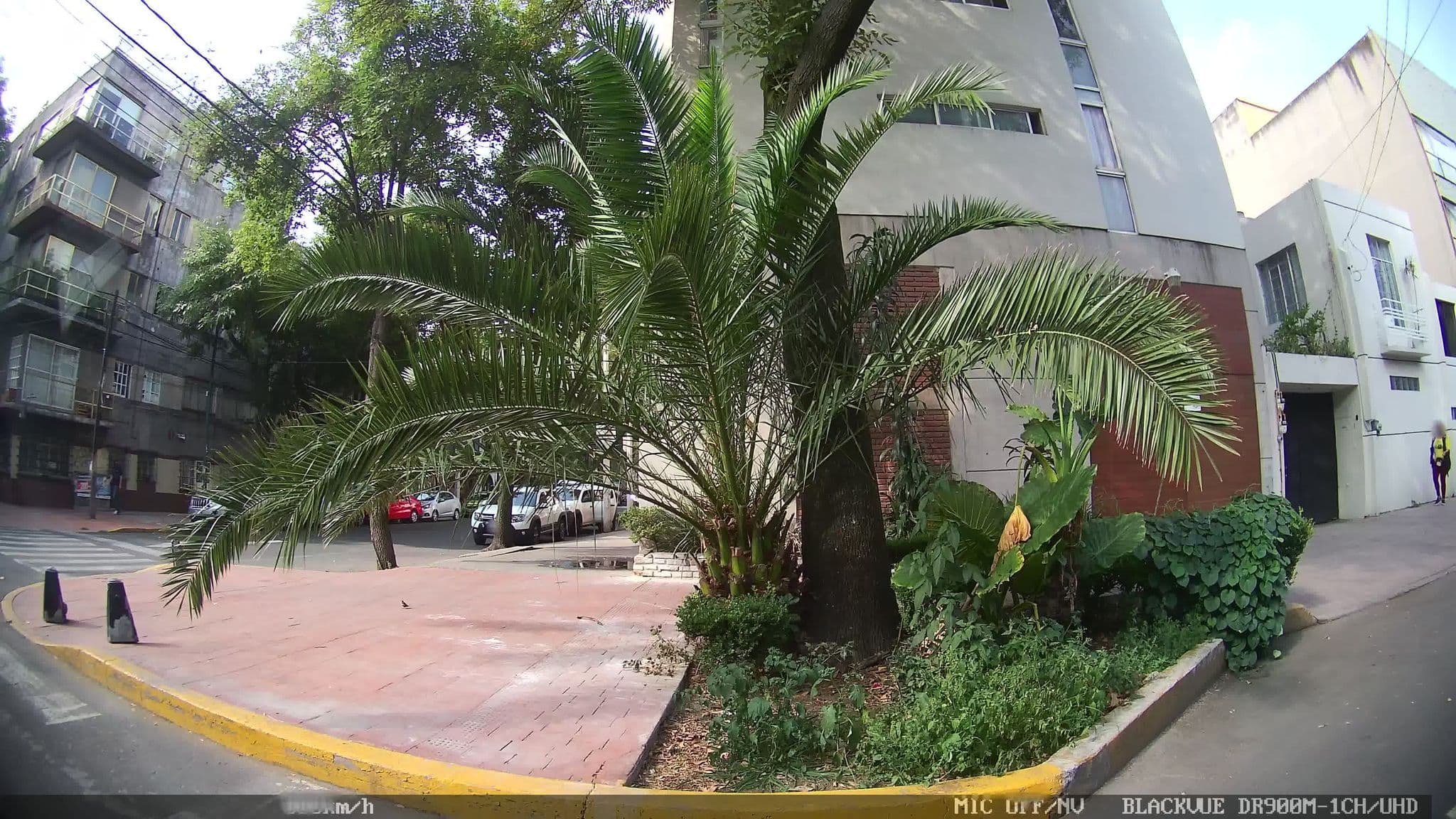 Street view near Posadas de Latinoamerica, Colonia del Valle — © kaart_4 (CC BY-SA · Mapillary)