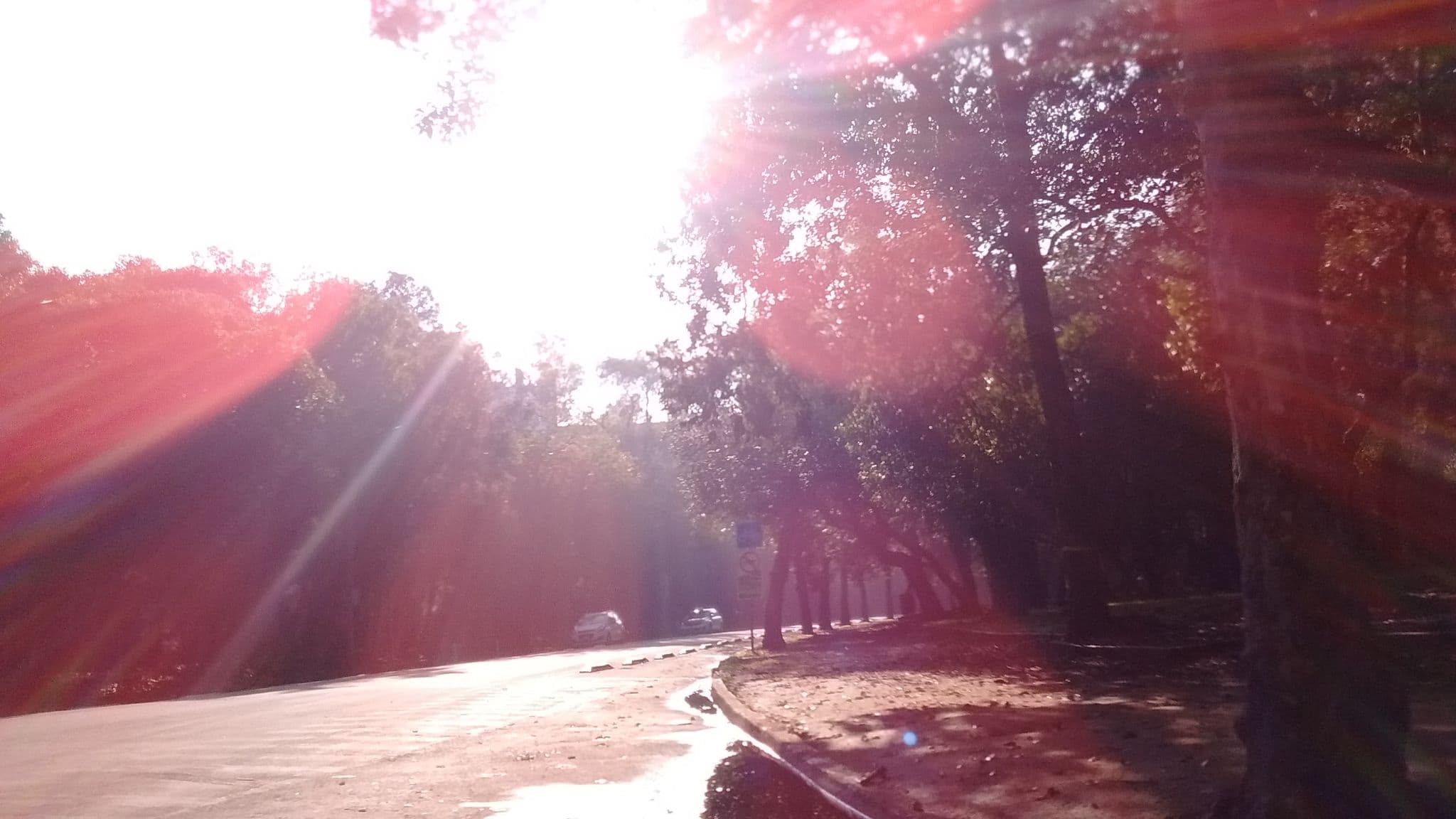 Street view near Condominio Portika Polanco, Polanco — © mapeaton (CC BY-SA · Mapillary)