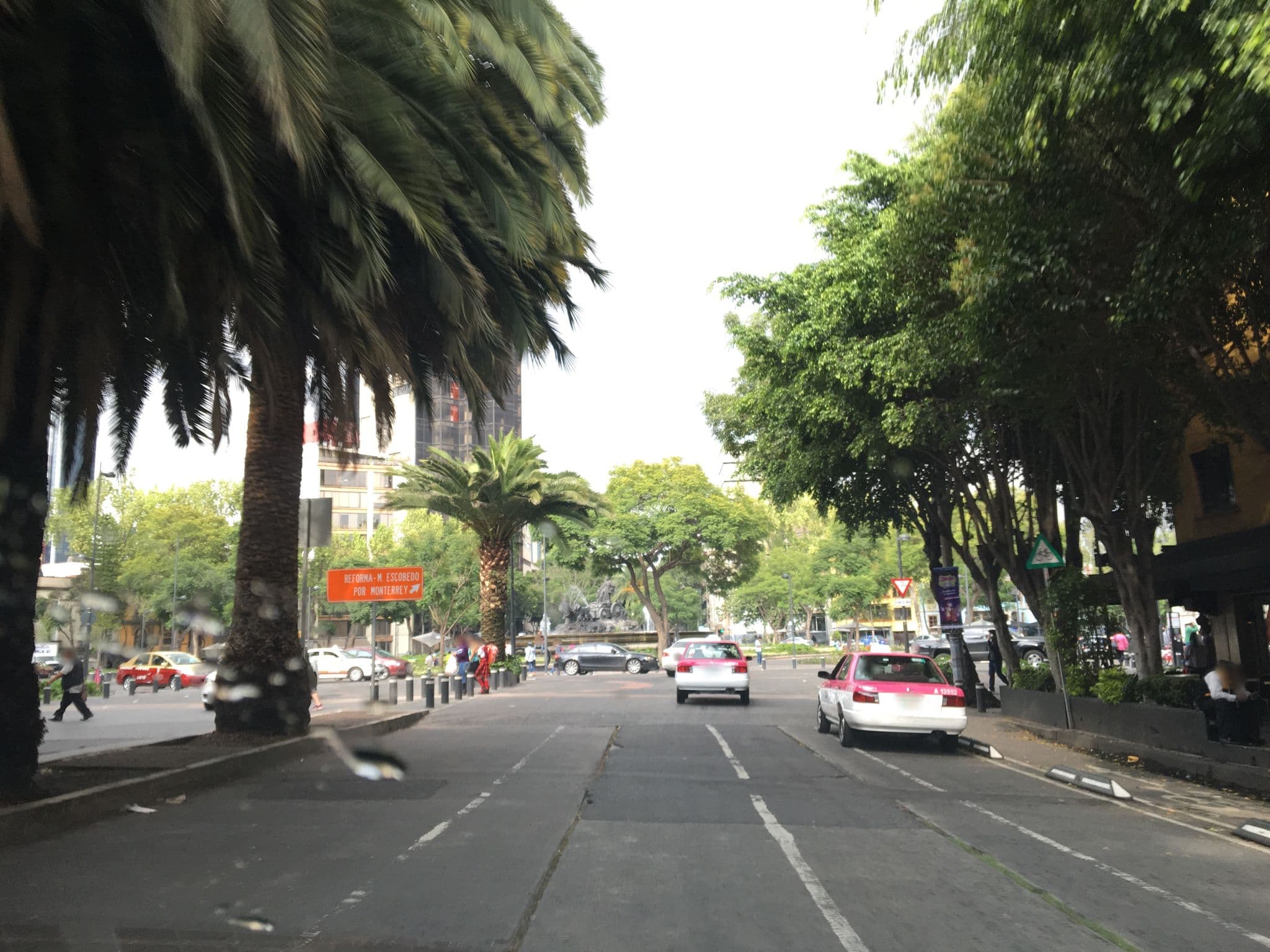 Street view near Rulav, Cuauhtémoc — © ccossio (CC BY-SA · Mapillary)