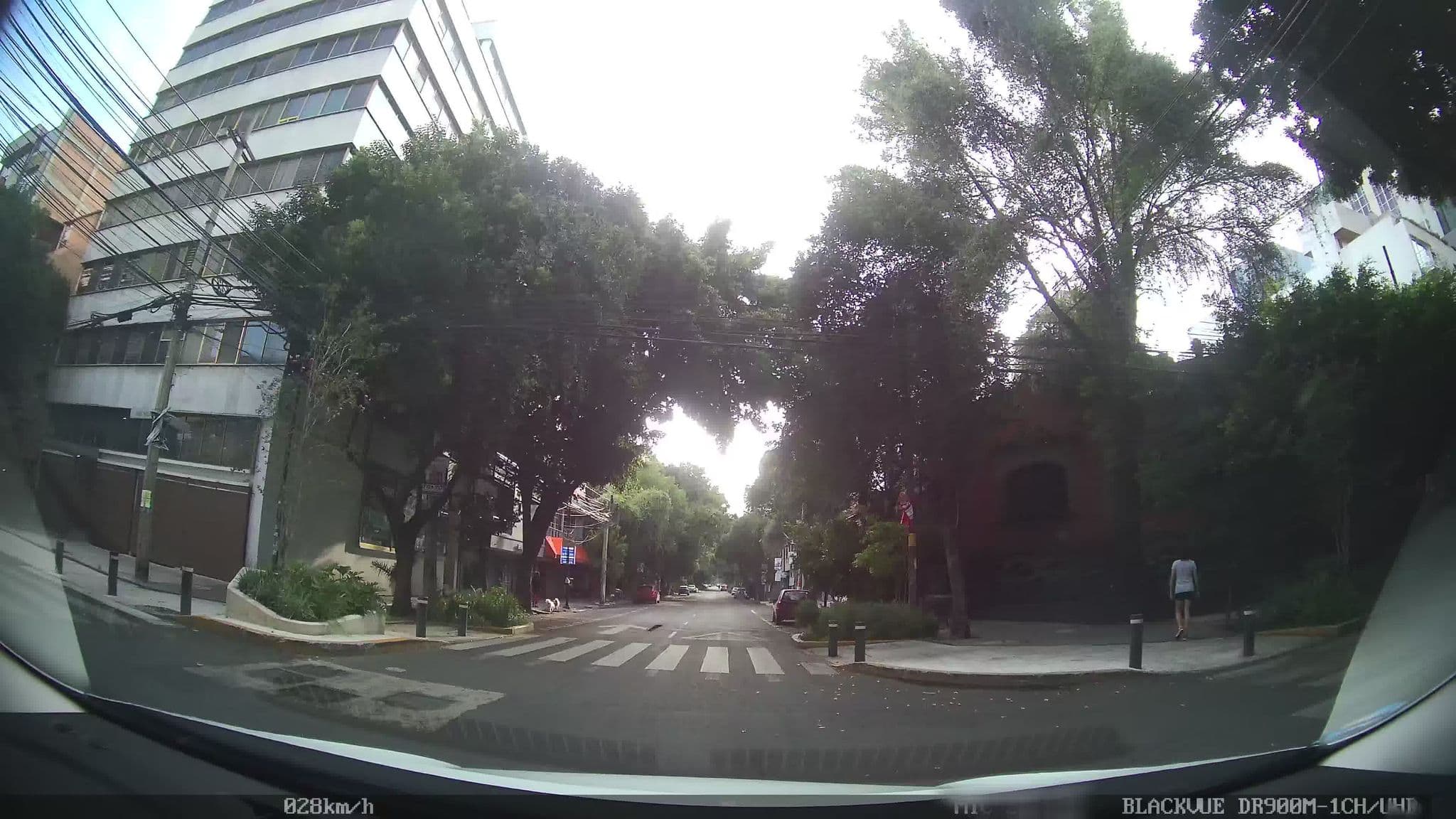 Street view near SUITES RÍO LERMA 205, Polanco — © kaart_2 (CC BY-SA · Mapillary)