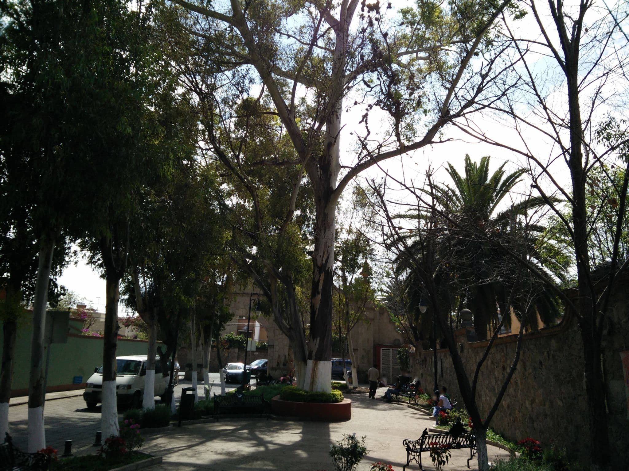 Street view near Hotel Neptuno, Tequisquiapan — © ccossio (CC BY-SA · Mapillary)