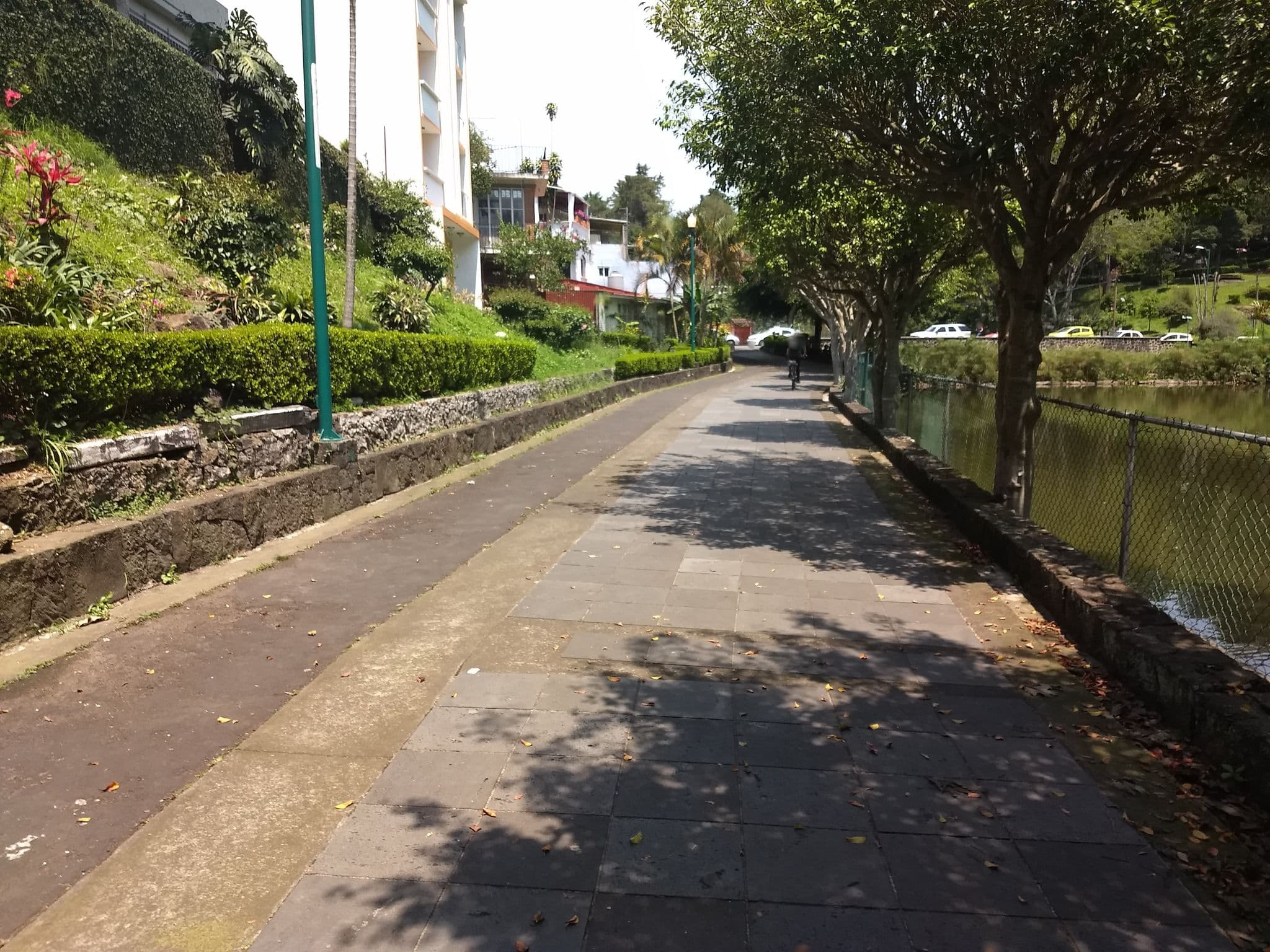 Street view near La terraza café, Xalapa de Enríquez — © zarathustra (CC BY-SA · Mapillary)