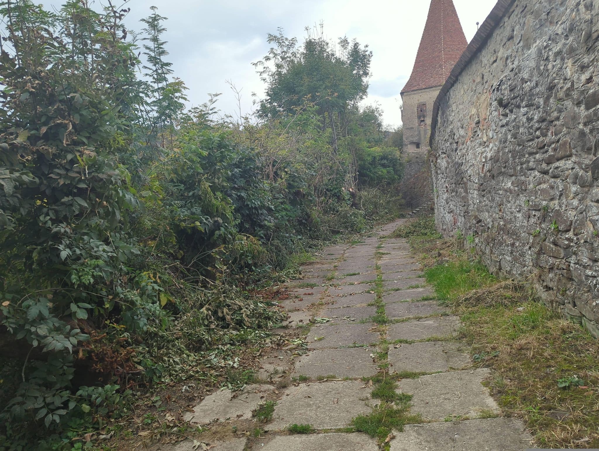 Street view near Casa Marcus, Sighișoara — © _nils (CC BY-SA · Mapillary)