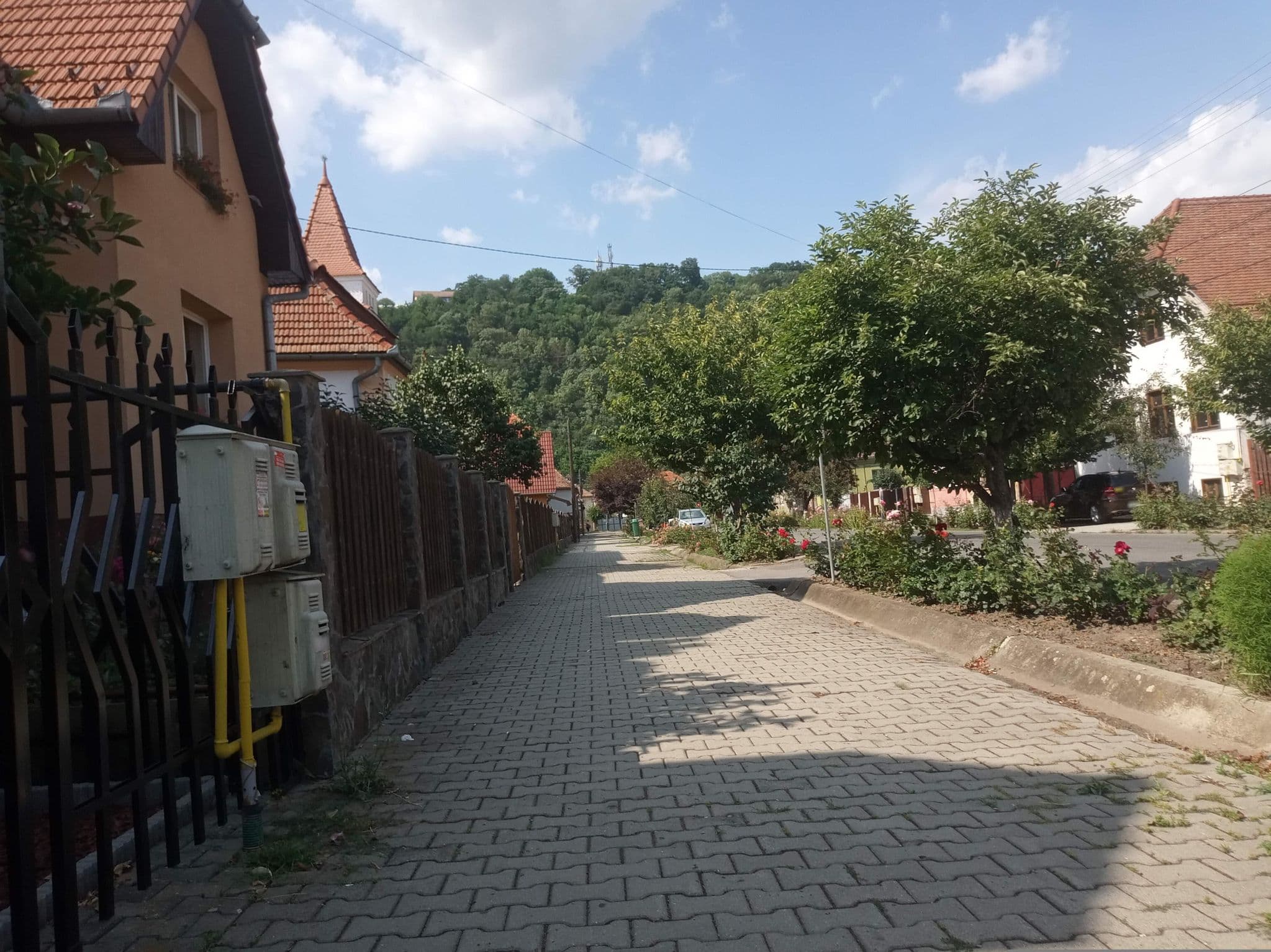 Street view near Pensiunea Mario, Sighișoara — © grozsa11 (CC BY-SA · Mapillary)