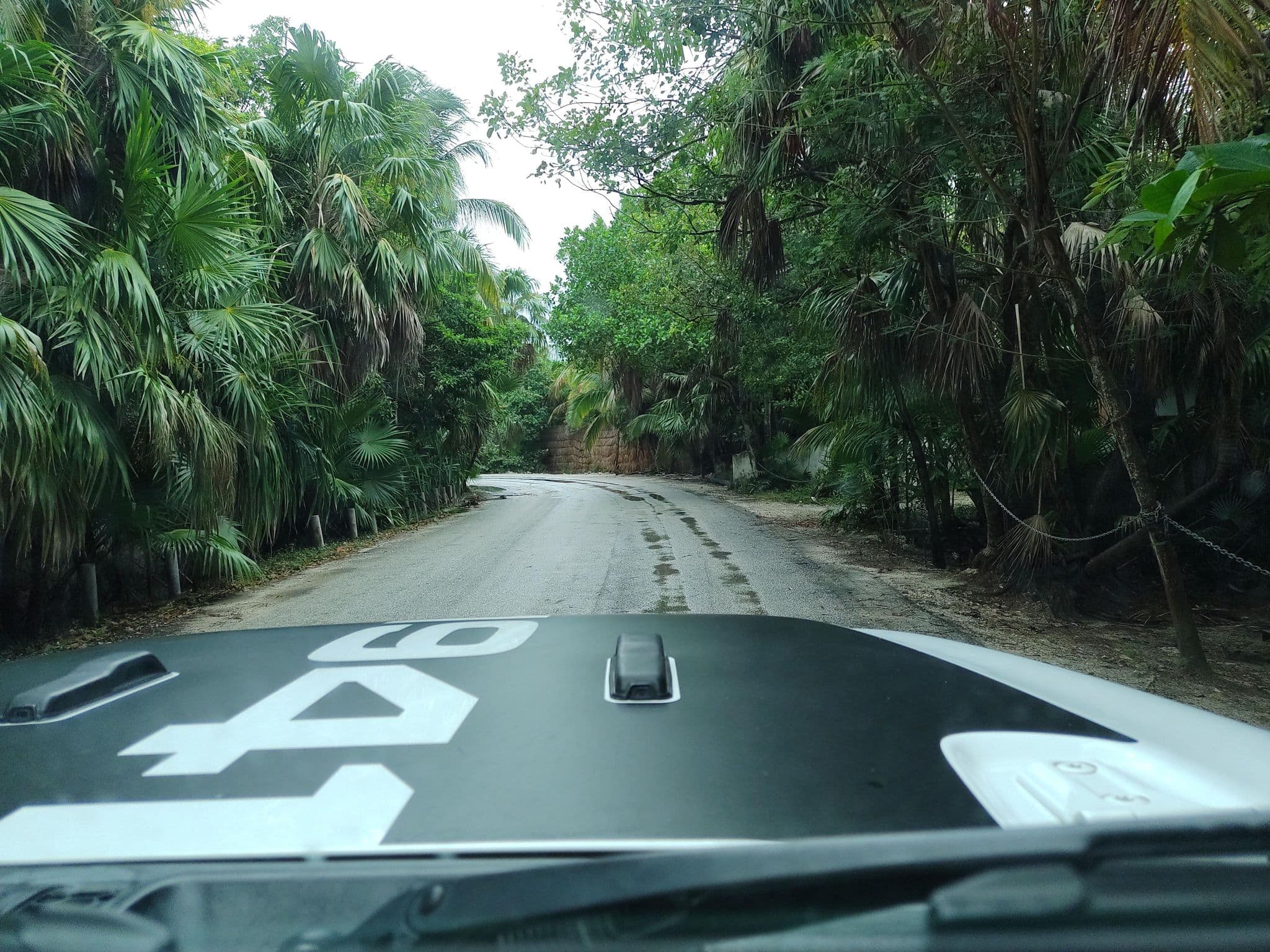 Street view near Nativus Tulum, Tulum — © mapeadora (CC BY-SA · Mapillary)
