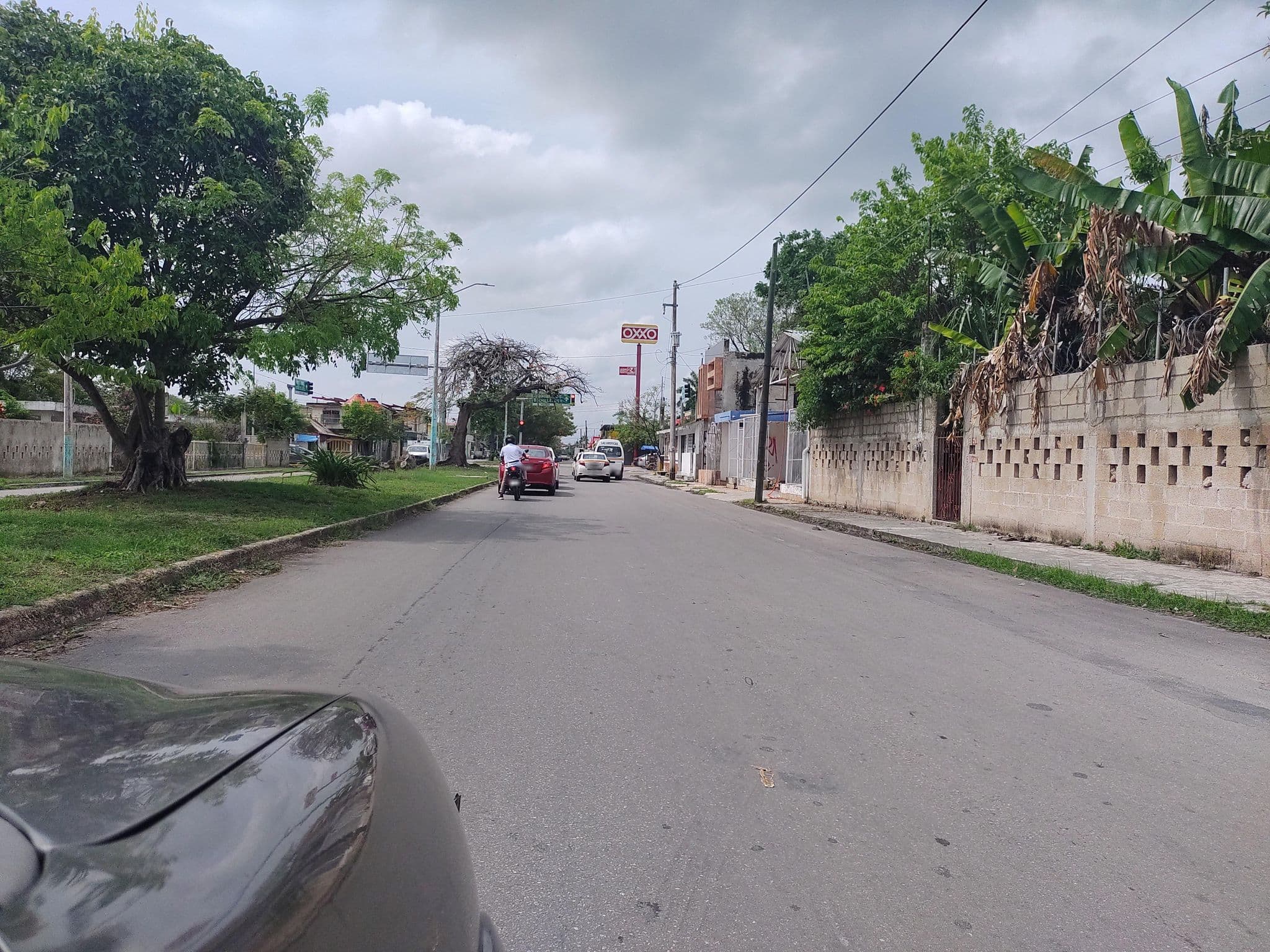 Street view near Paakal's Hostel, Chetumal — © mapeadora (CC BY-SA · Mapillary)