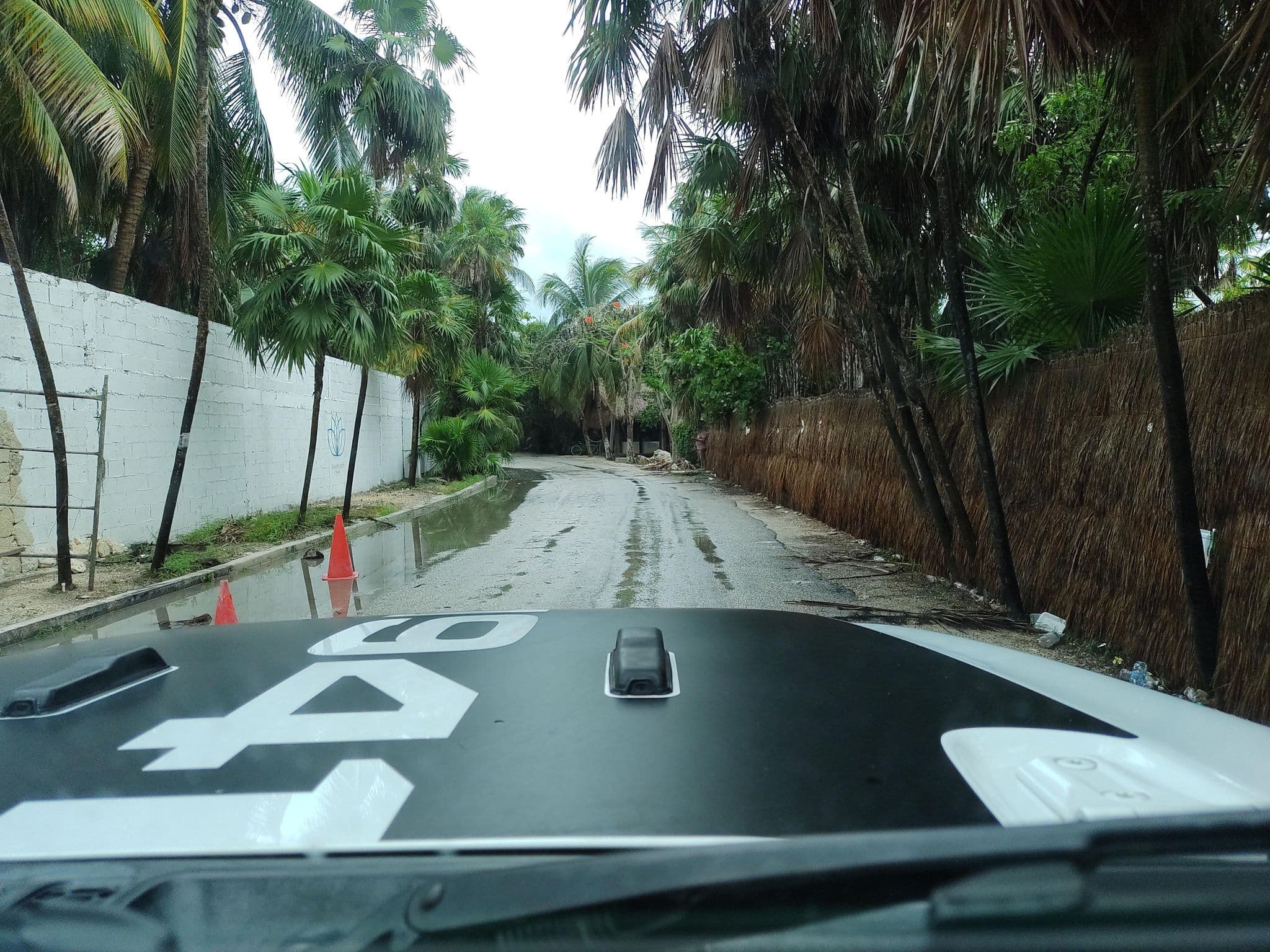 Street view near MangleX, Tulum — © mapeadora (CC BY-SA · Mapillary)