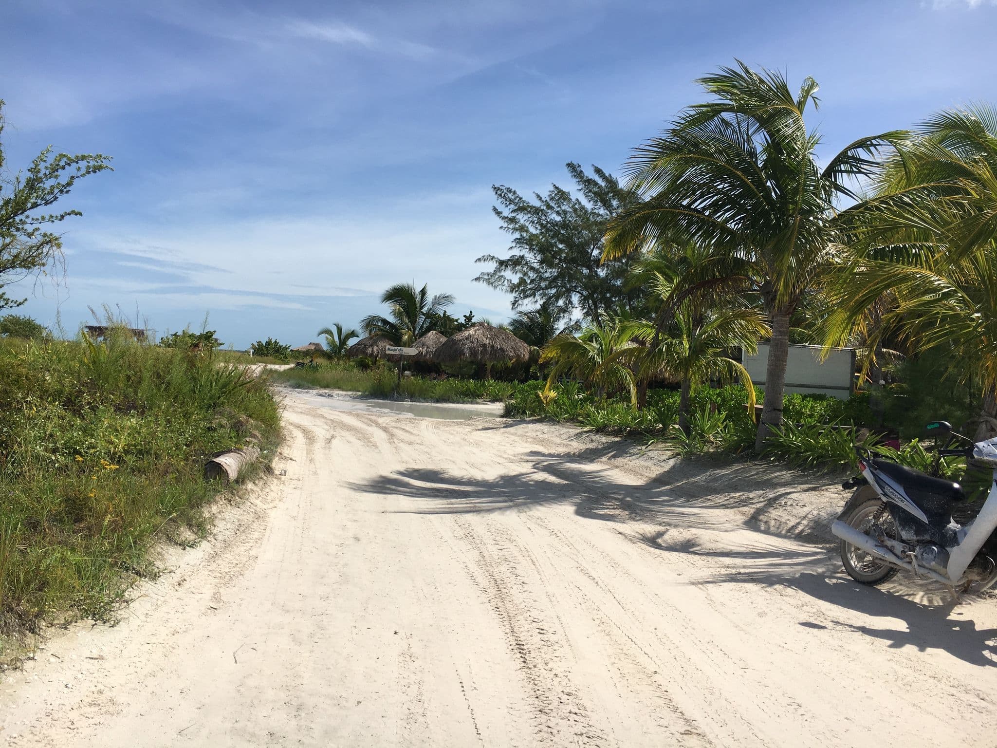 Street view near Casa Sandra Hotel, Isla Holbox — © z0rg (CC BY-SA · Mapillary)