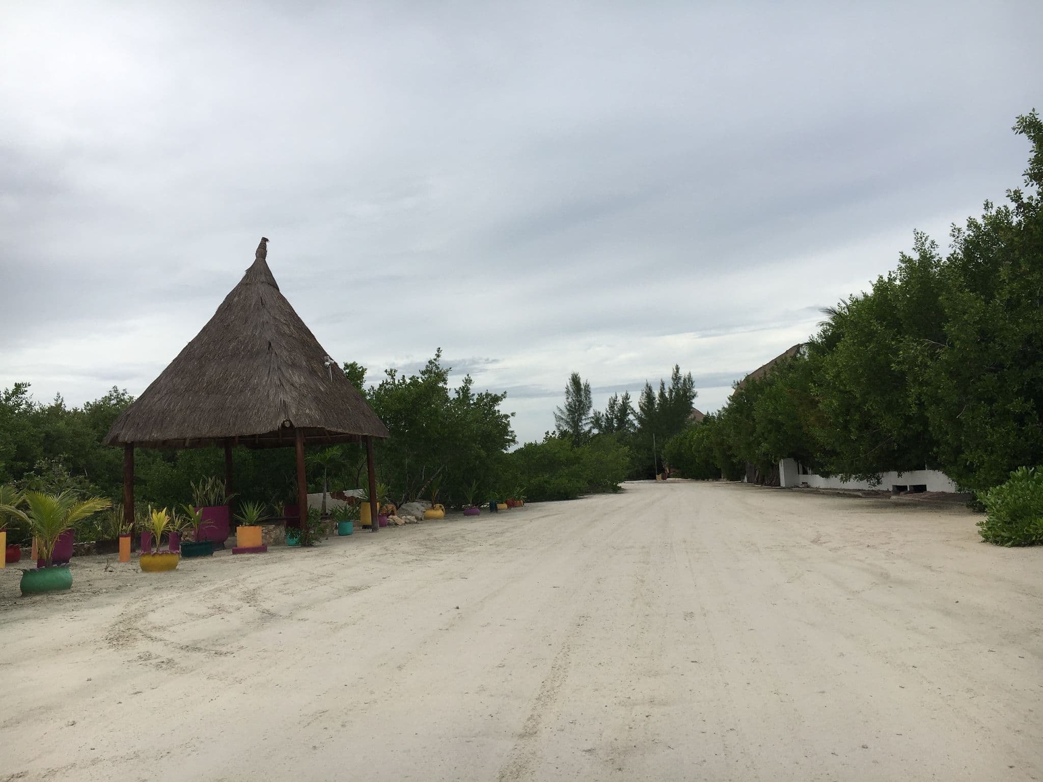 Street view near Xaloc Resort, Isla Holbox — © z0rg (CC BY-SA · Mapillary)