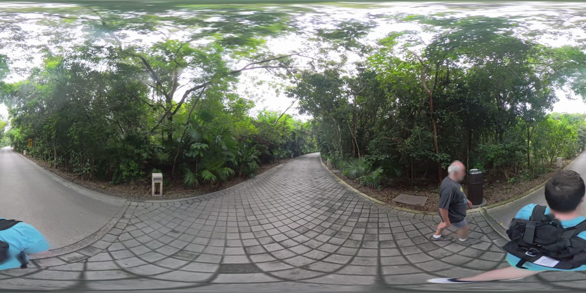 Street view near Grand Luxxe Edificio IV, Playa del Carmen — © evankelemen (CC BY-SA · Mapillary)