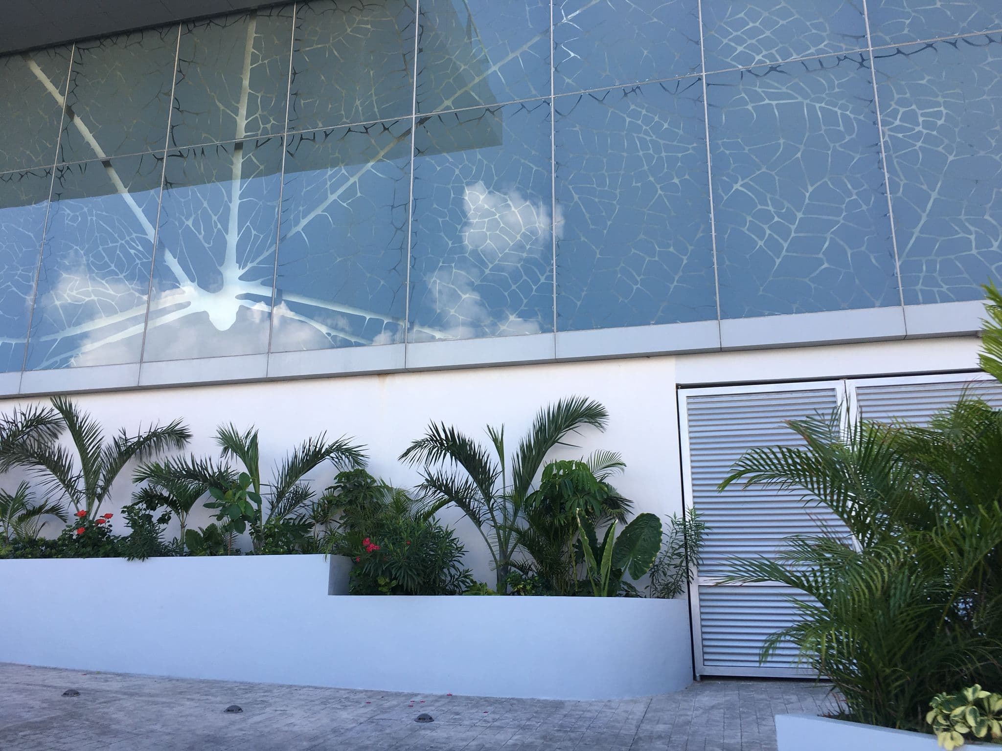 Street view near Secrets The Vine Cancun All Inclusive - Adults Only, Alfredo V. Bonfil — © ccossio (CC BY-SA · Mapillary)