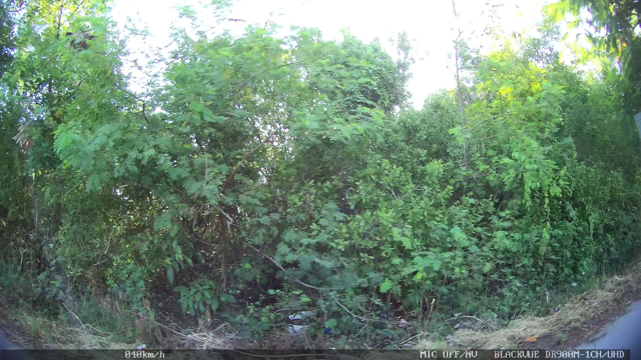 Street view near Destinos Magicos Plus Travel, Cancún — © kaart_2 (CC BY-SA · Mapillary)