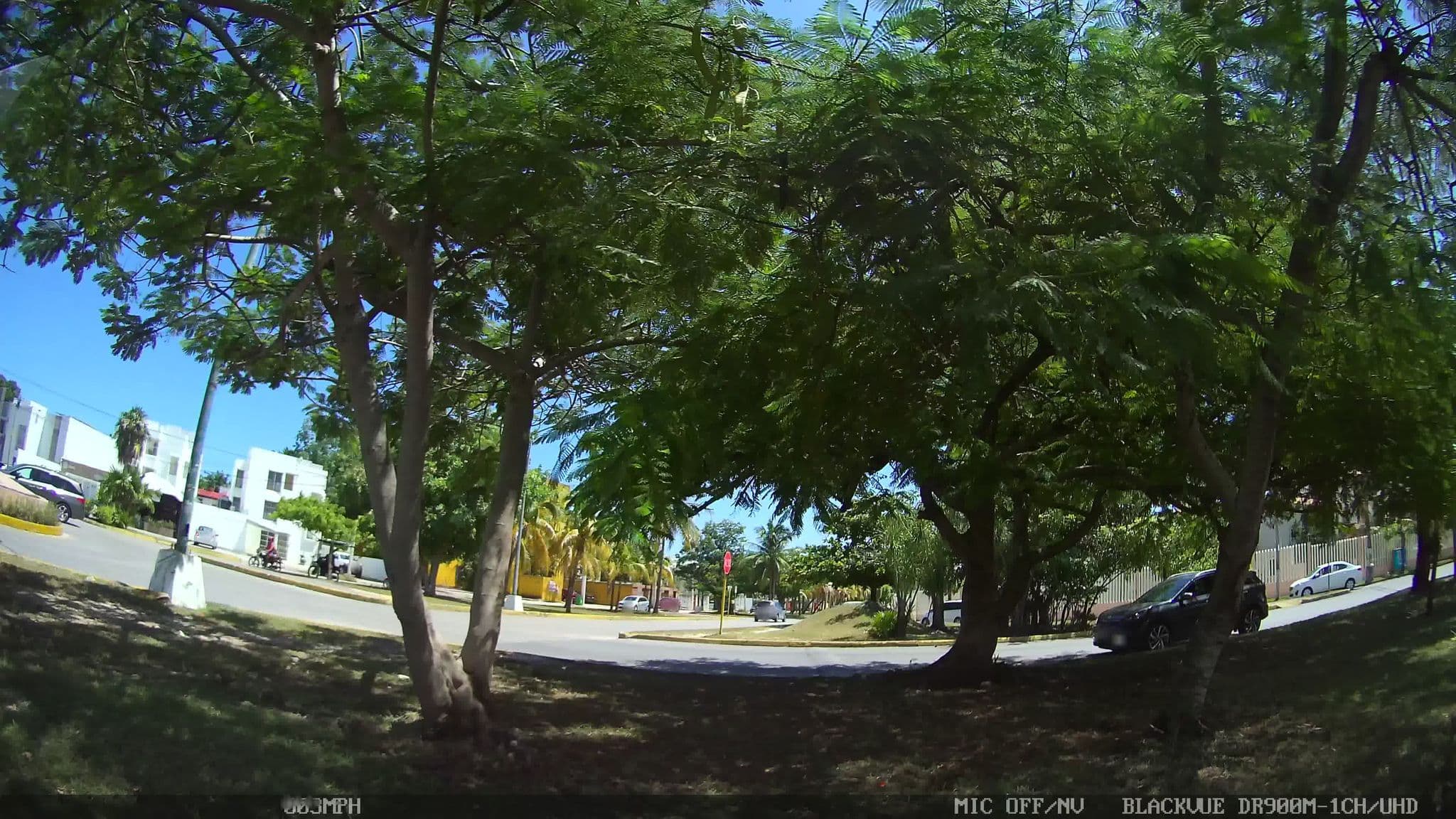 Street view near Servicio de Hospedaje, Cancún — © kaart_2 (CC BY-SA · Mapillary)