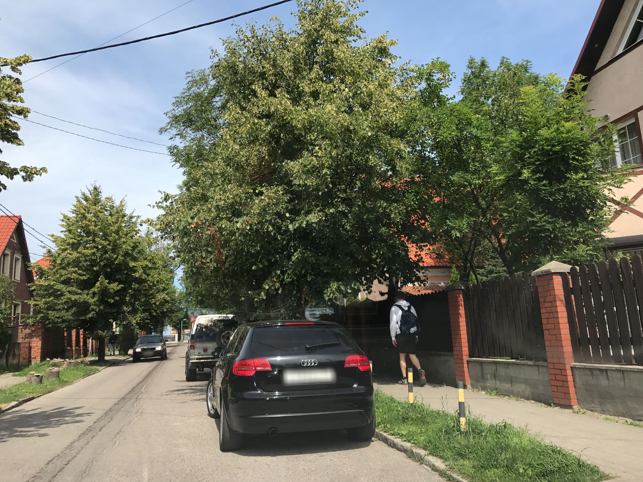 Street view near Даива, Zelenogradsk — © dade (CC BY-SA · Mapillary)