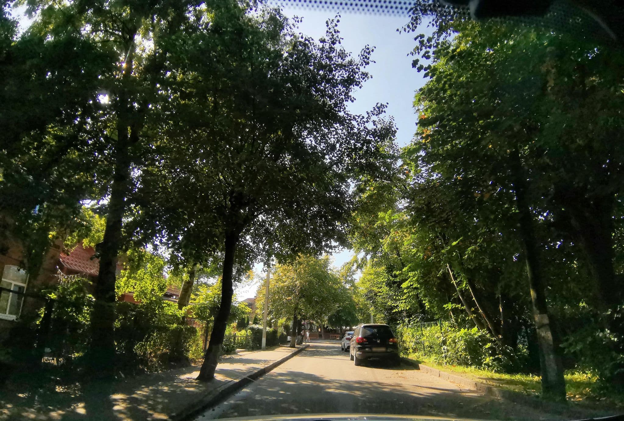 Street view near Парадокс, Zelenogradsk — © sleemp (CC BY-SA · Mapillary)