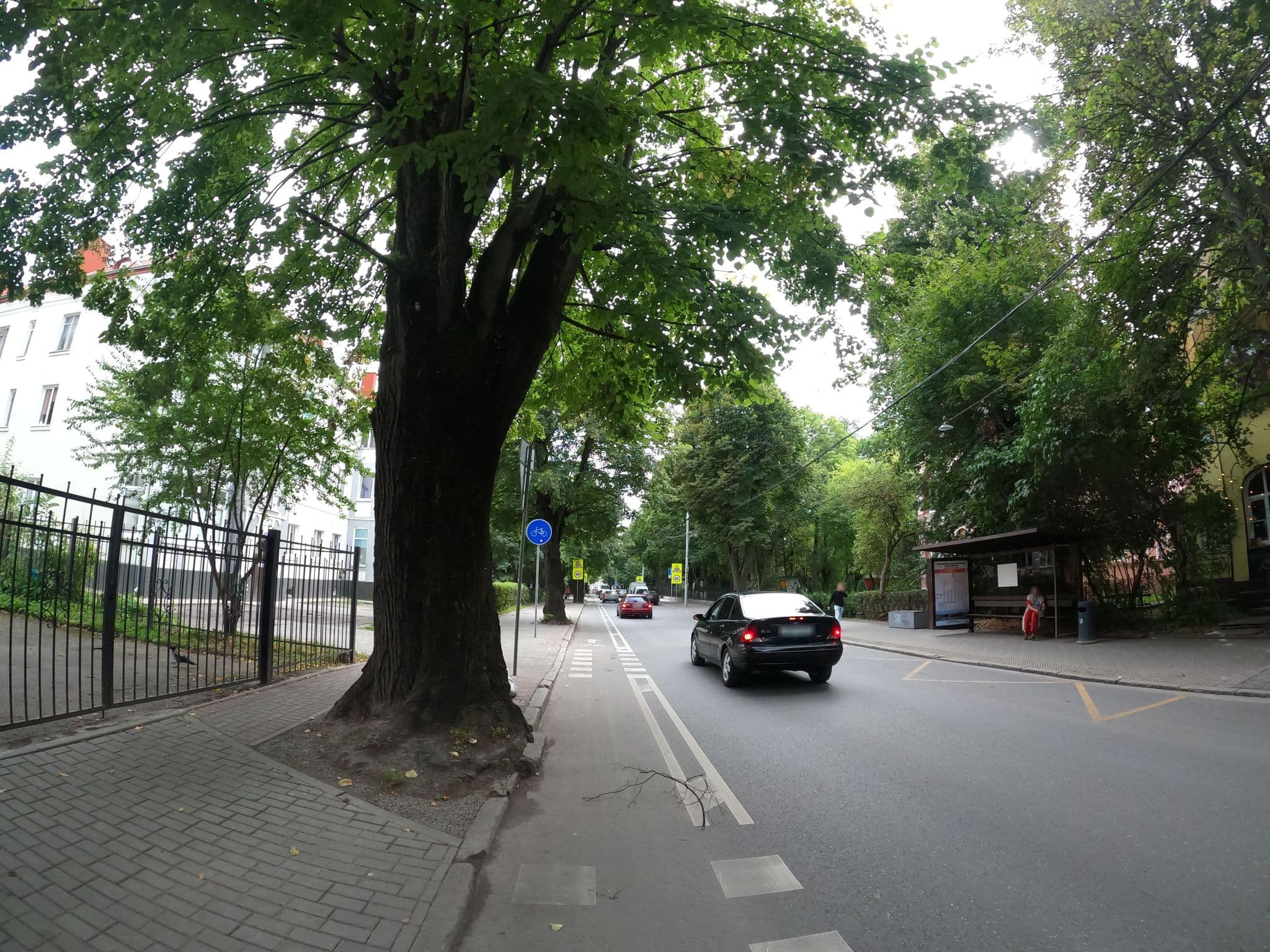 Street view near Sofa Boutique Appartements, Kaliningrad — © trolleway (CC BY-SA · Mapillary)