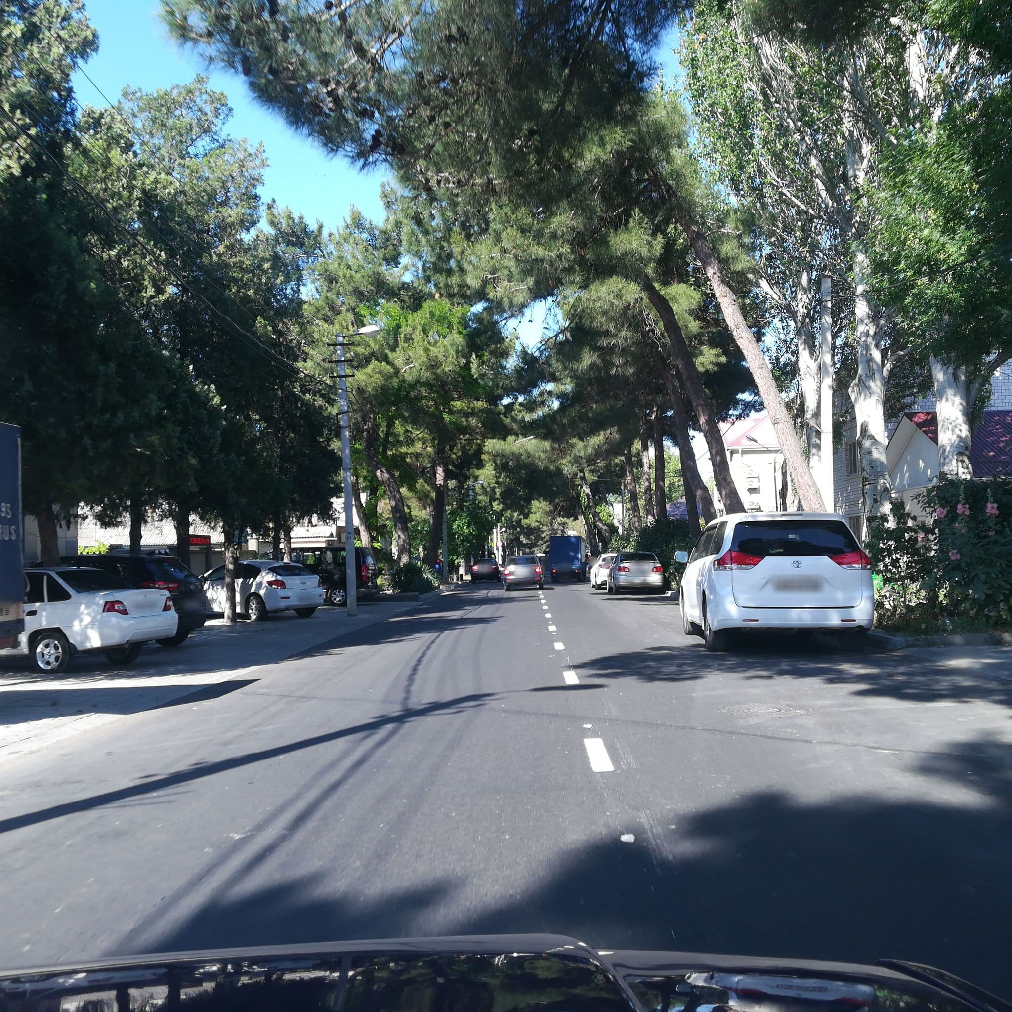 Street view near Гостиница "Мир", Anapa — © juliashchelukhova (CC BY-SA · Mapillary)
