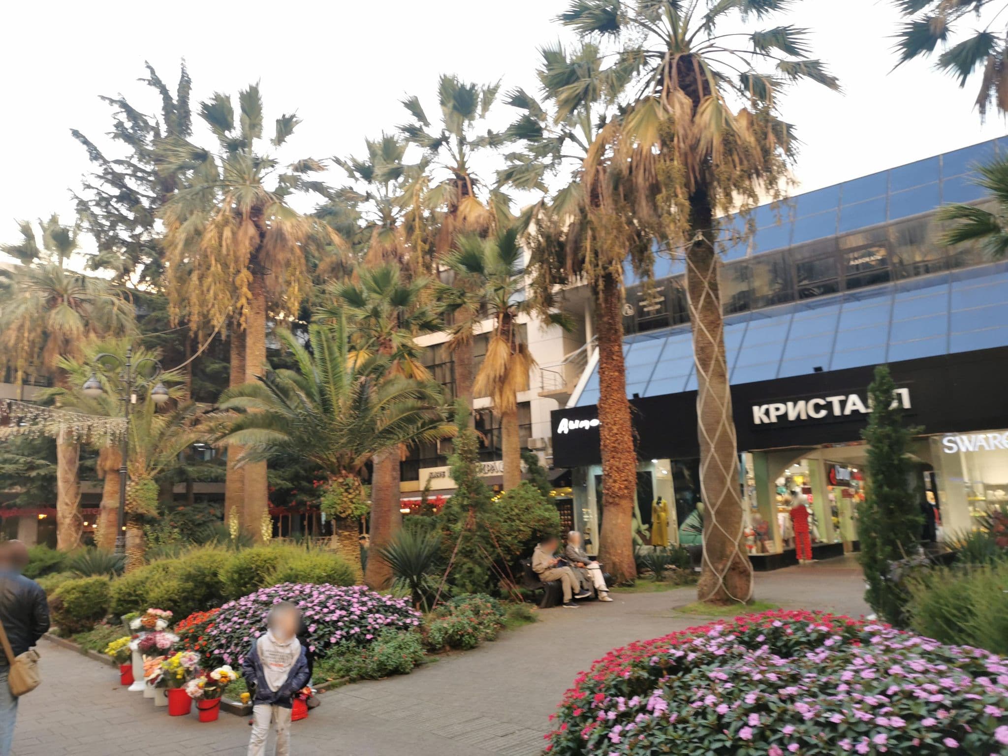 Street view near Hostel "Fiesta Boom", Sochi — © dizelmine (CC BY-SA · Mapillary)