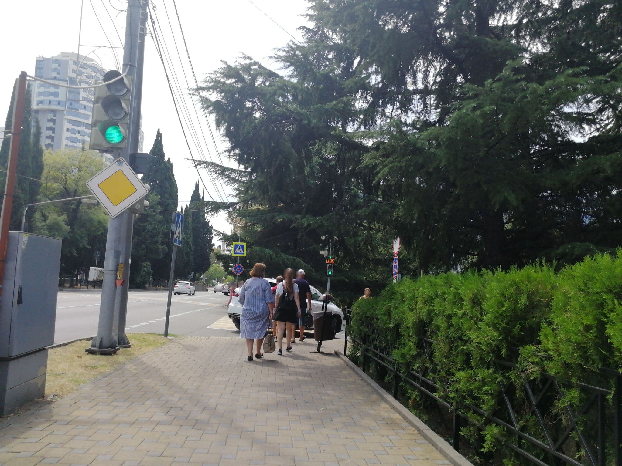 Street view near Папа На Даче, Sochi — © nekhorosheva (CC BY-SA · Mapillary)