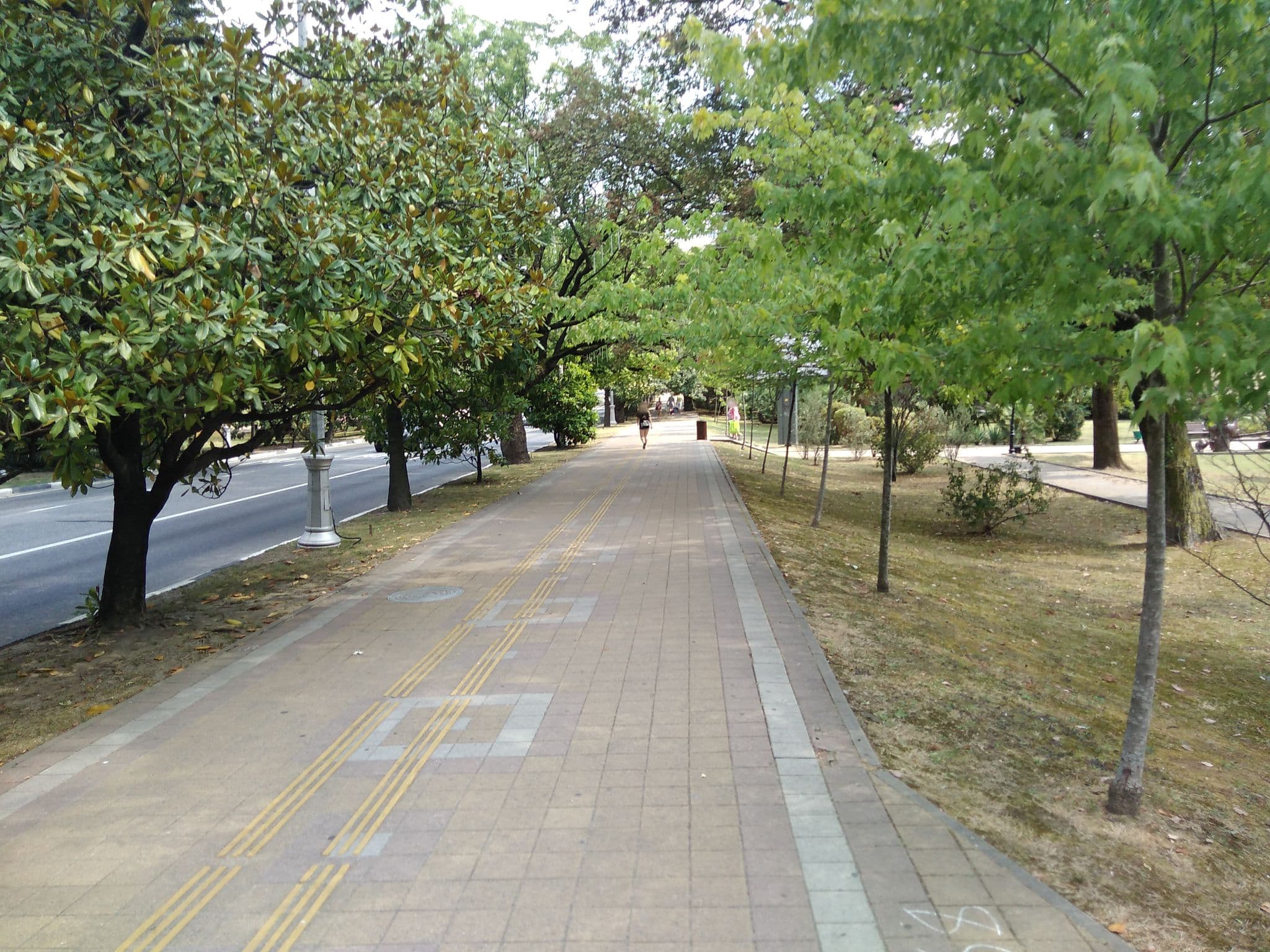Street view near Отель Фидан, Sochi — © sergeyshuber (CC BY-SA · Mapillary)