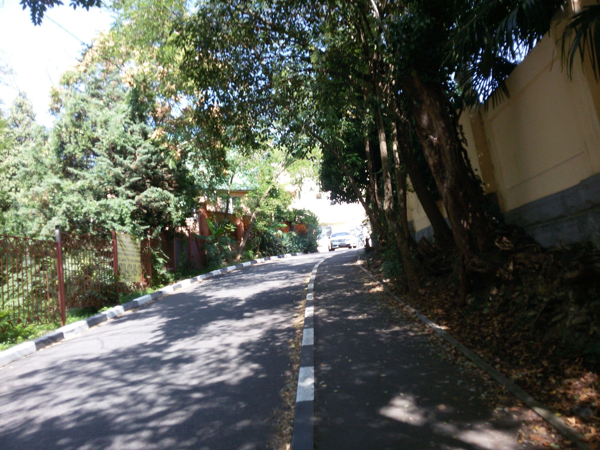 Street view near SV-Hotel Sochi, Adler — © savelyeva (CC BY-SA · Mapillary)