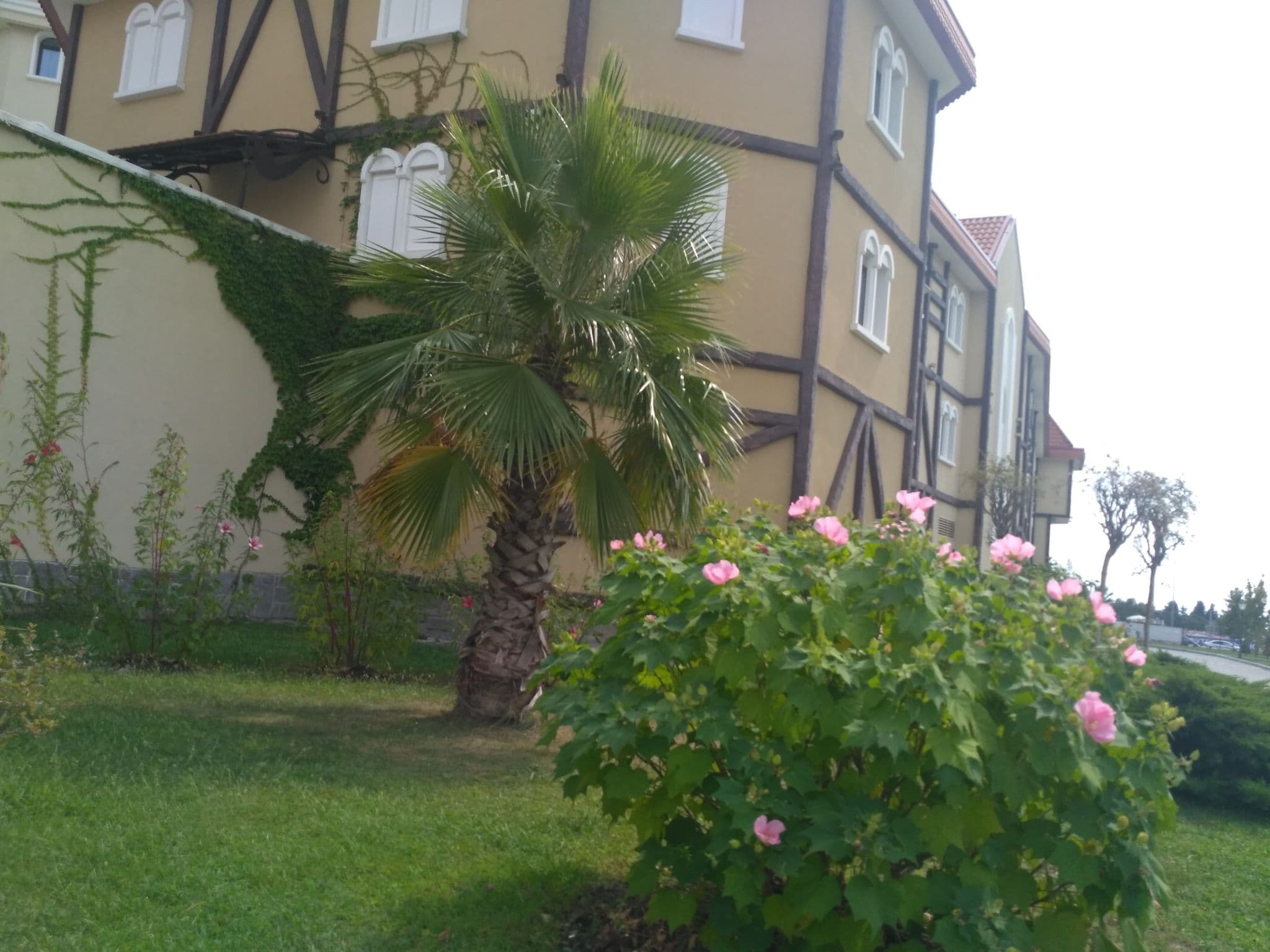 Street view near Богатырь, Sirius — © ksenia59 (CC BY-SA · Mapillary)
