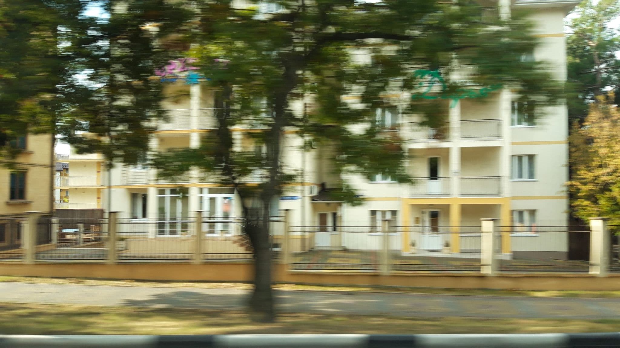 Street view near Орхидея, Gelendzhik — © wowik (CC BY-SA · Mapillary)