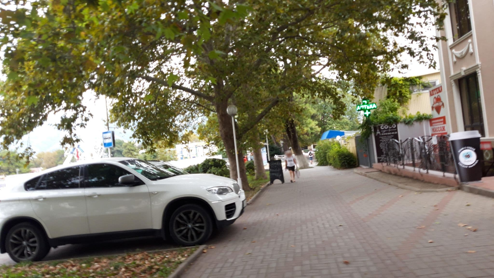 Street view near Villa Sofiya, Gelendzhik — © wowik (CC BY-SA · Mapillary)