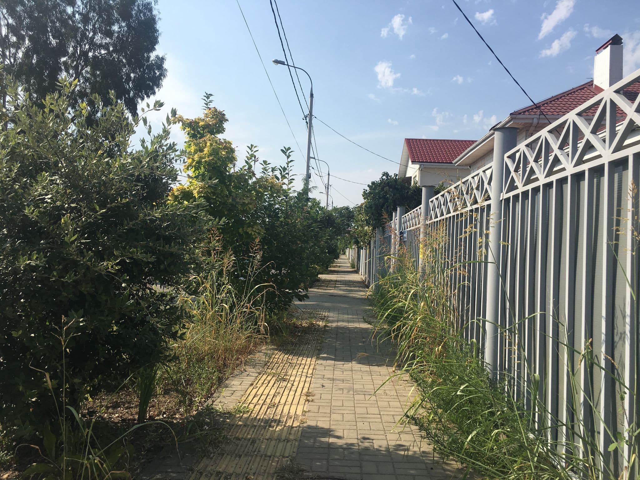 Street view near Safino Sochi, Sirius — © nikitabull (CC BY-SA · Mapillary)